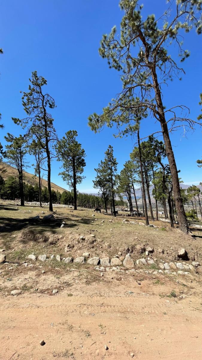 EN VENTA LOTE DE 2080 M2 EN EL PINAR, TAFI DEL VALLE · Tafí del Valle — foto 9