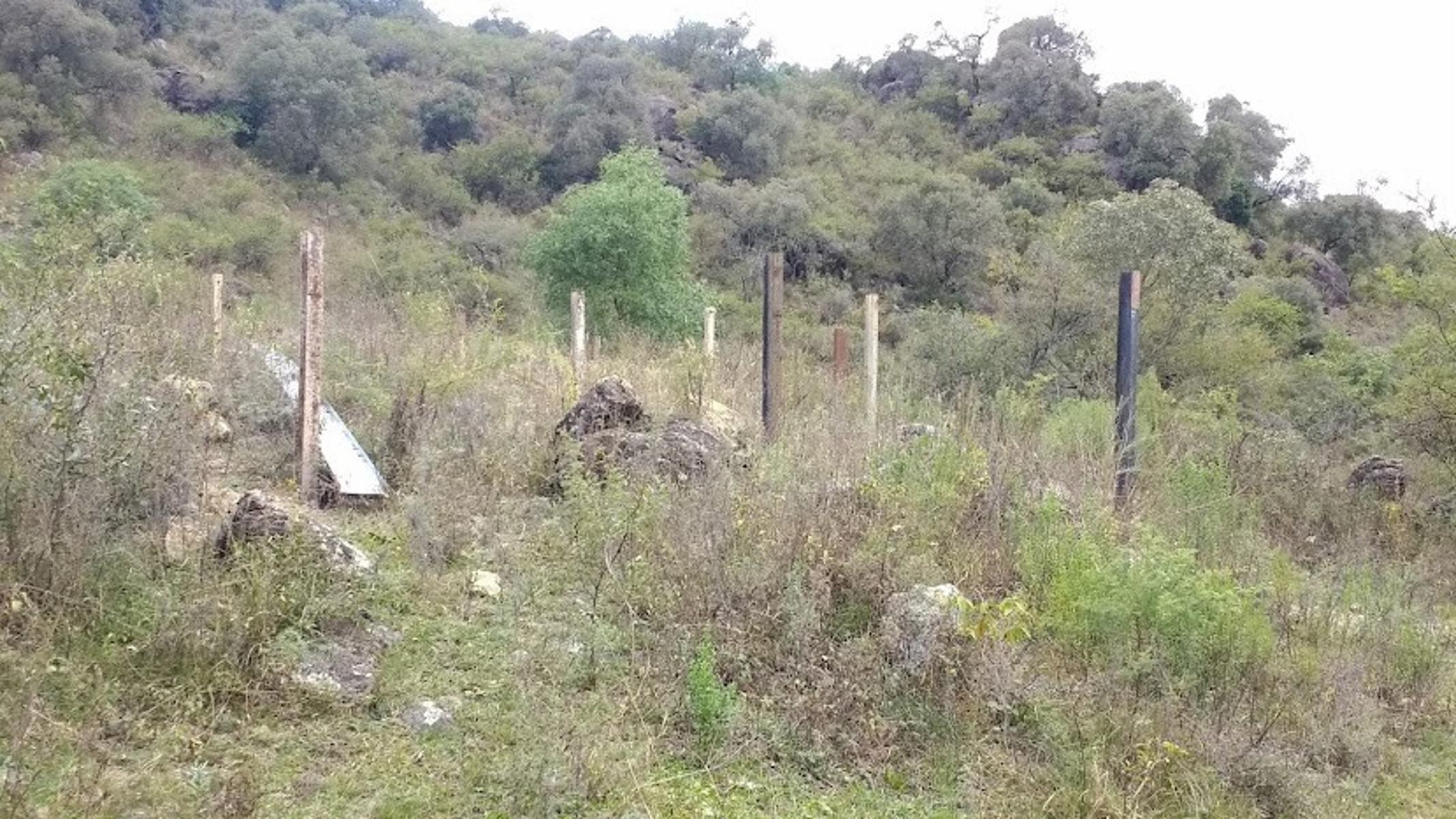 Calle Pública · Calamuchita — foto 11