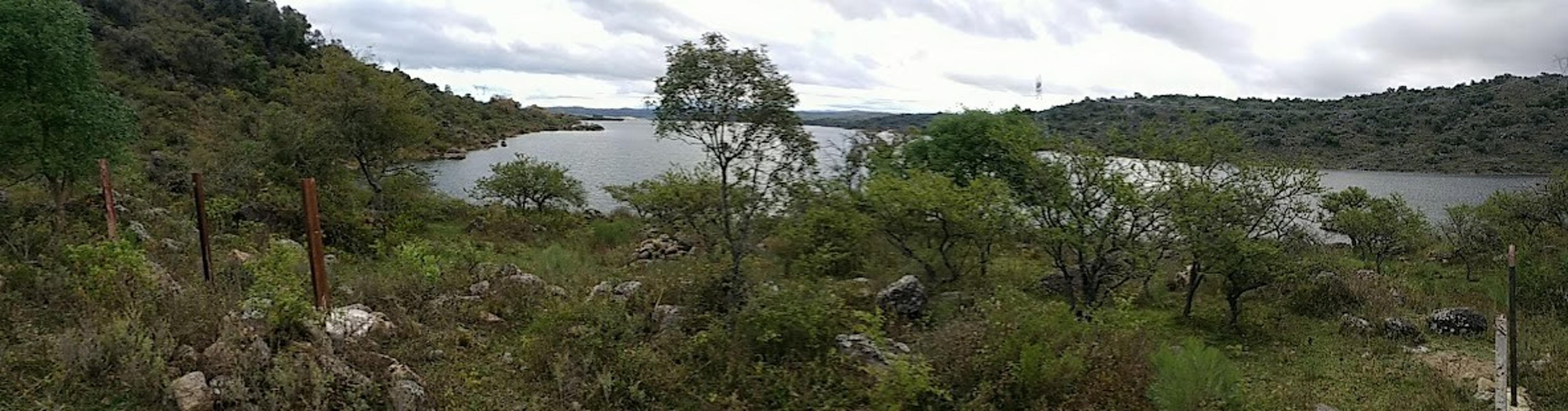 Calle Pública · Calamuchita — foto 14