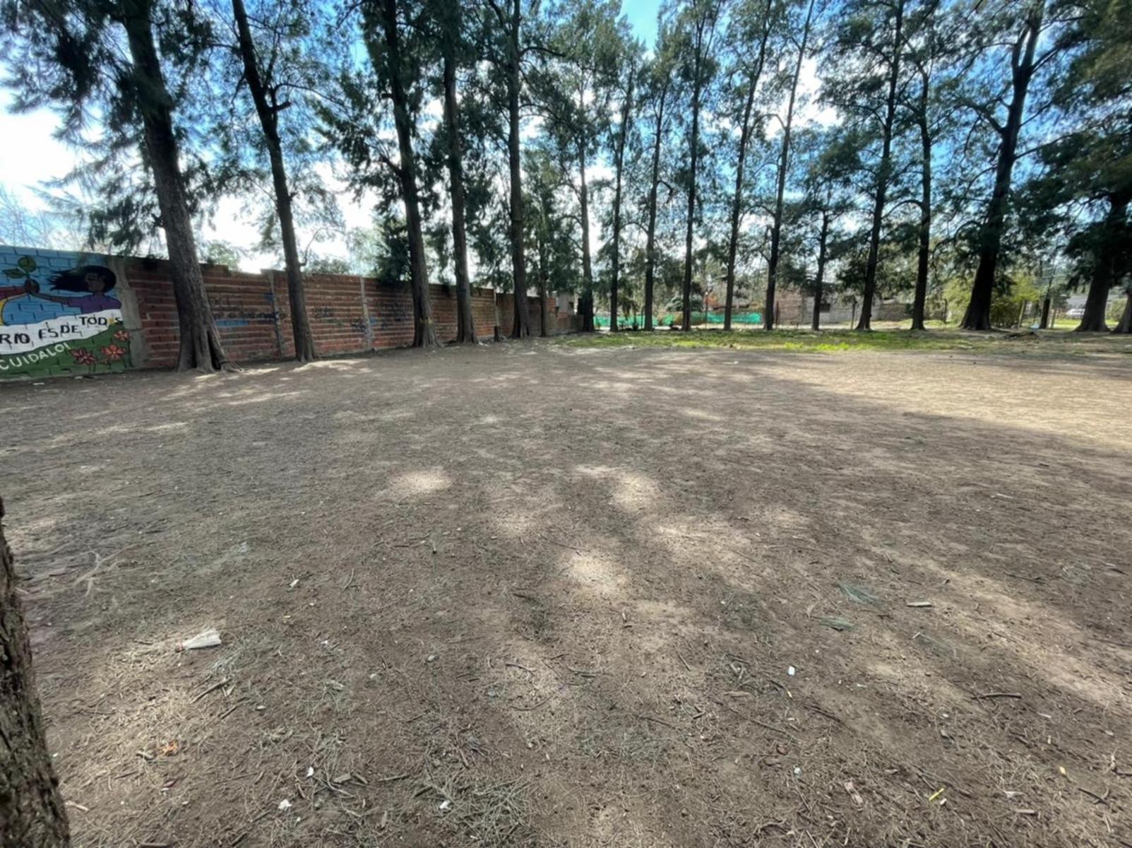 tasso · Moreno — foto 3