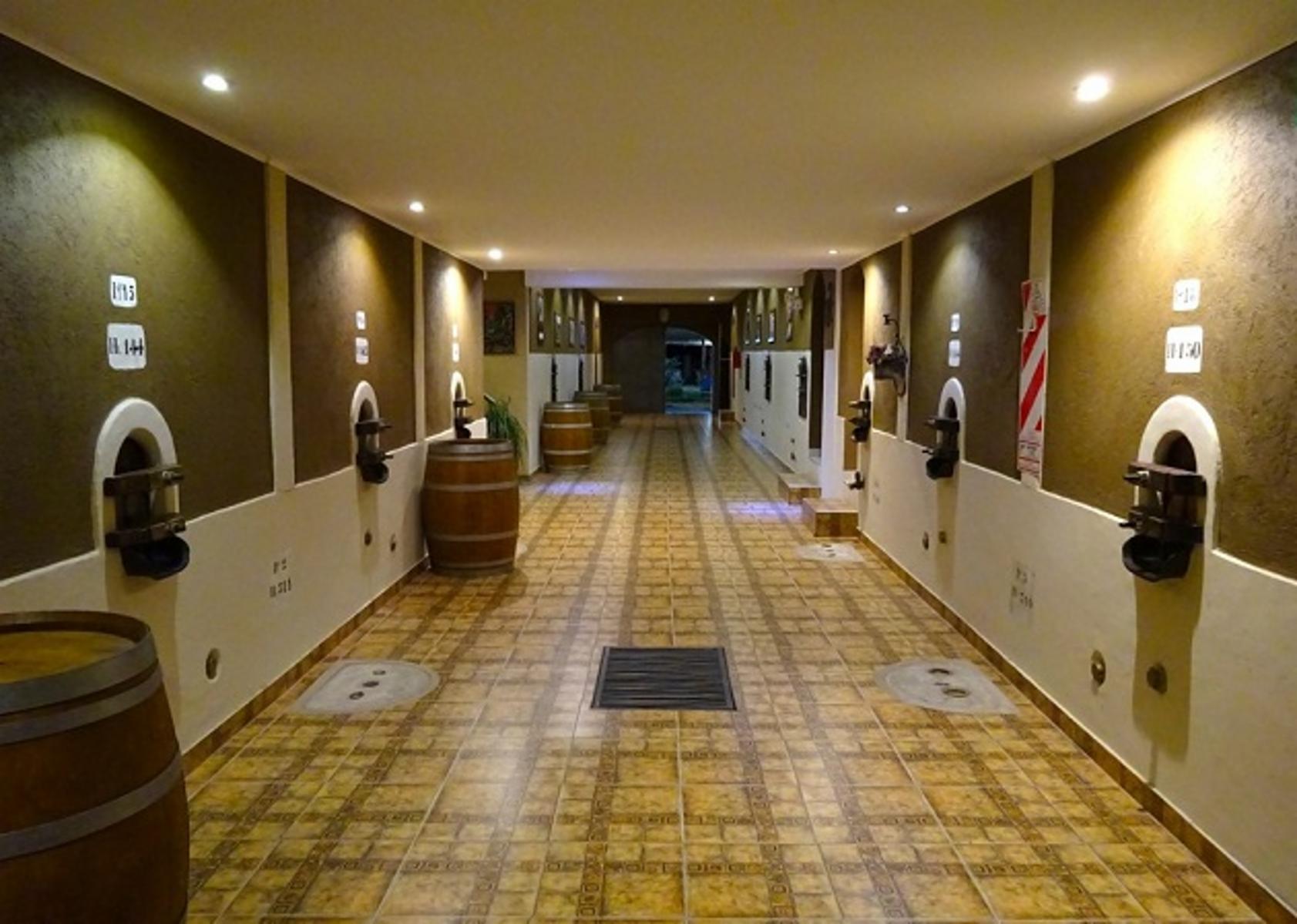 Las Virgenes  nº2880 · San Rafael — foto 8