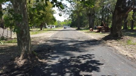 Manuela Pedraza Esquina Roger M 528 06 · Almirante Brown — foto 5