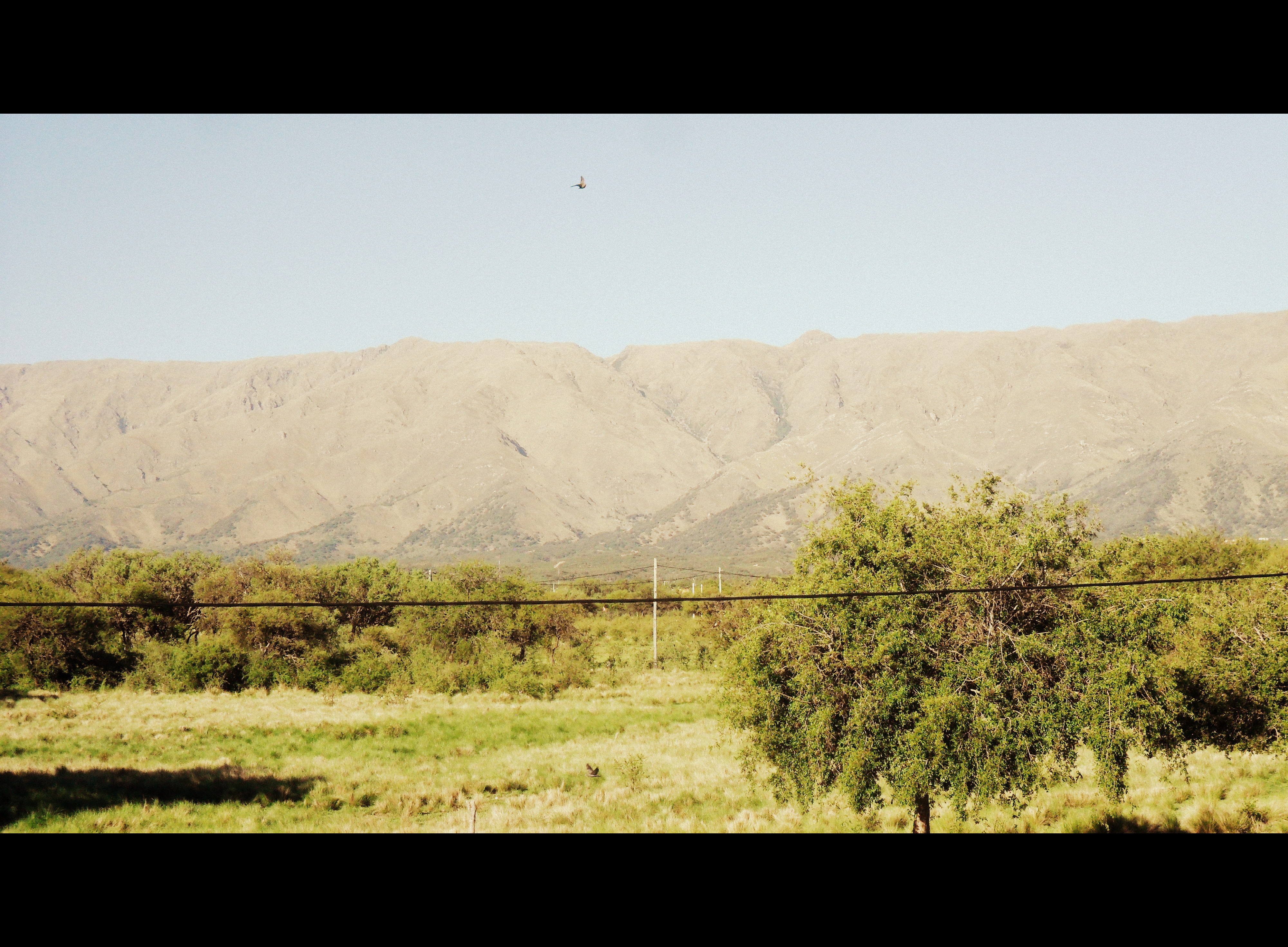 Rodeo de los Cocos · Junín — foto 3