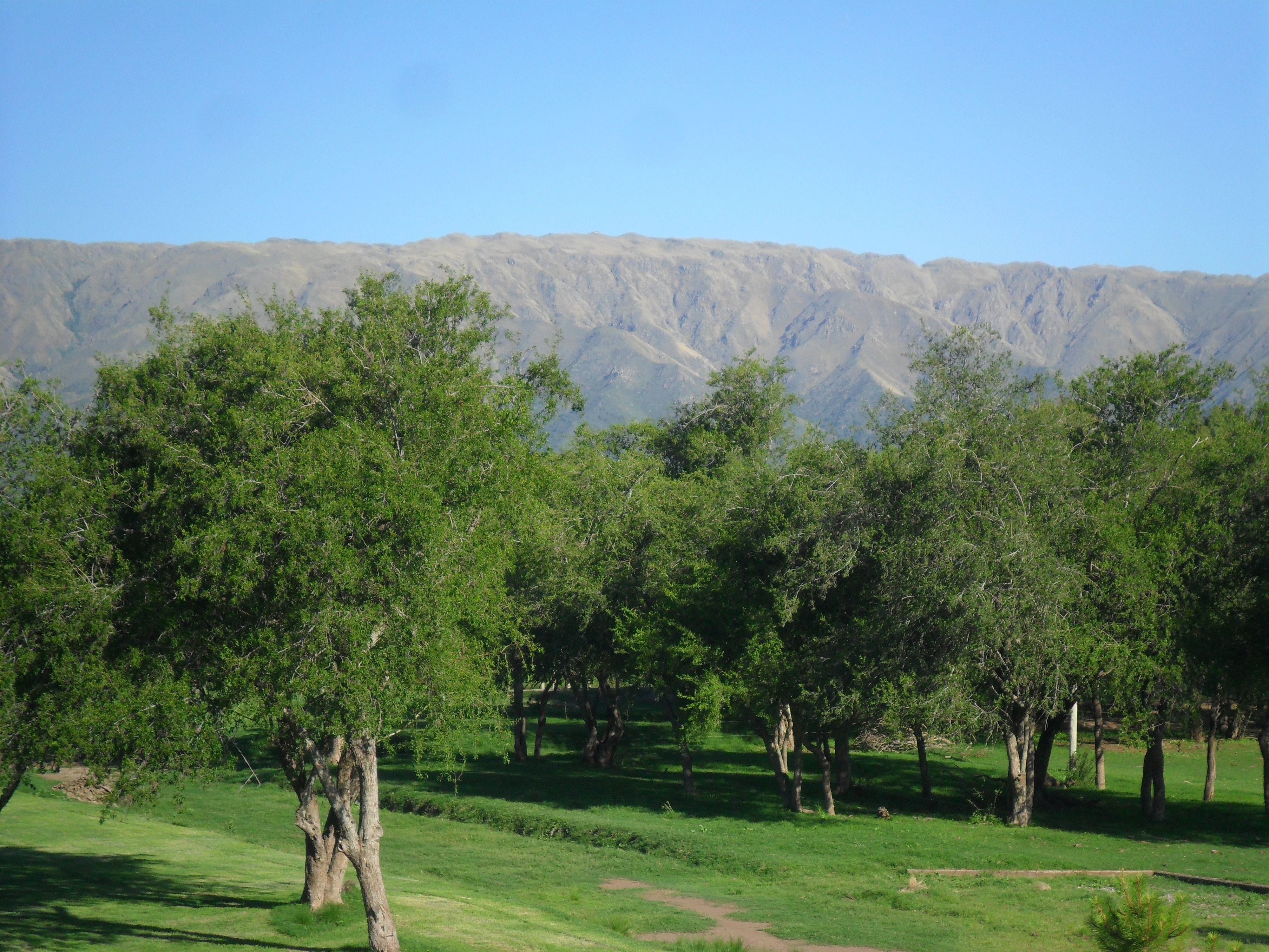 Rodeo de los Cocos · Junín — foto 5