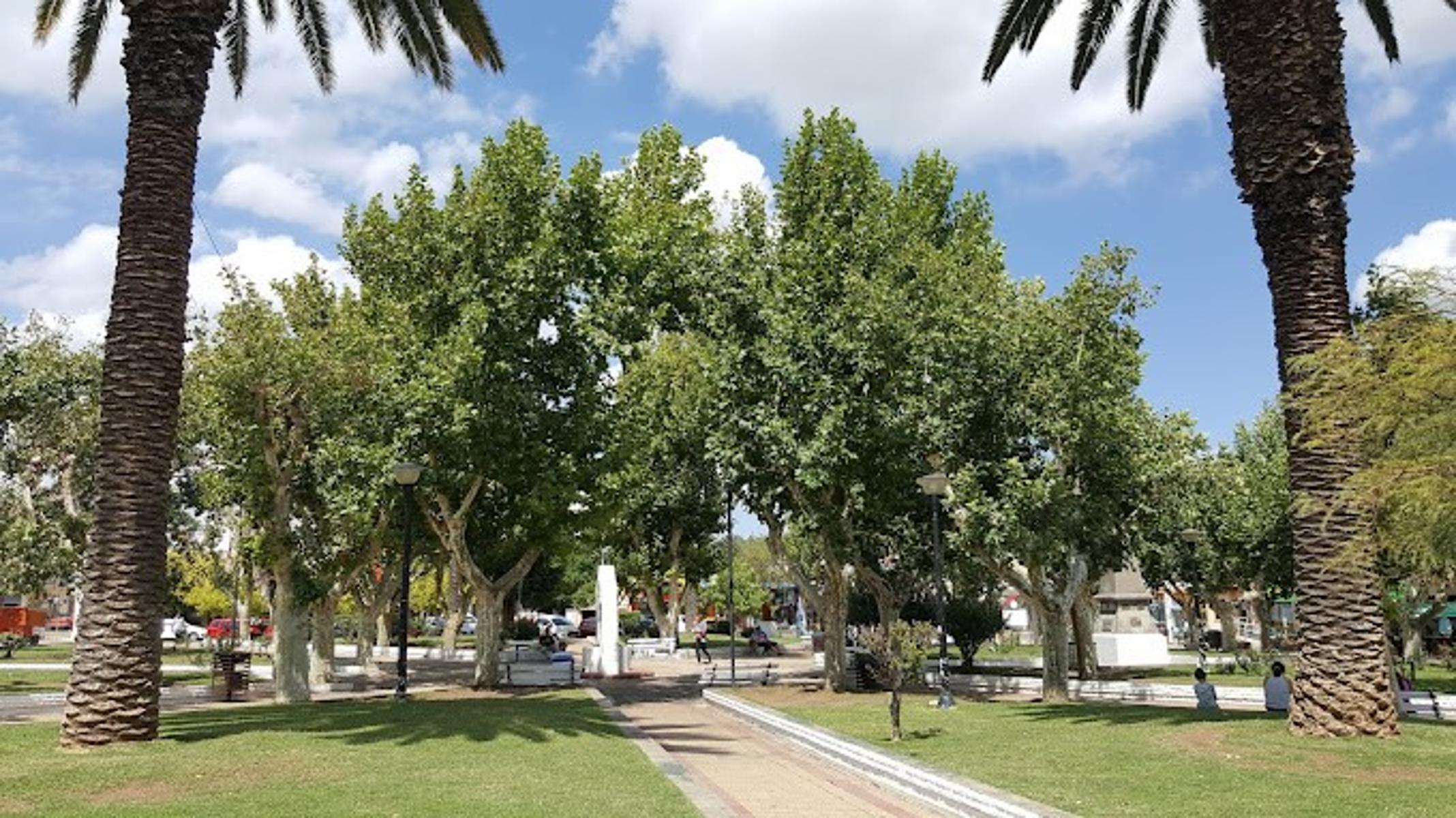 Mercau · Junín — foto 3