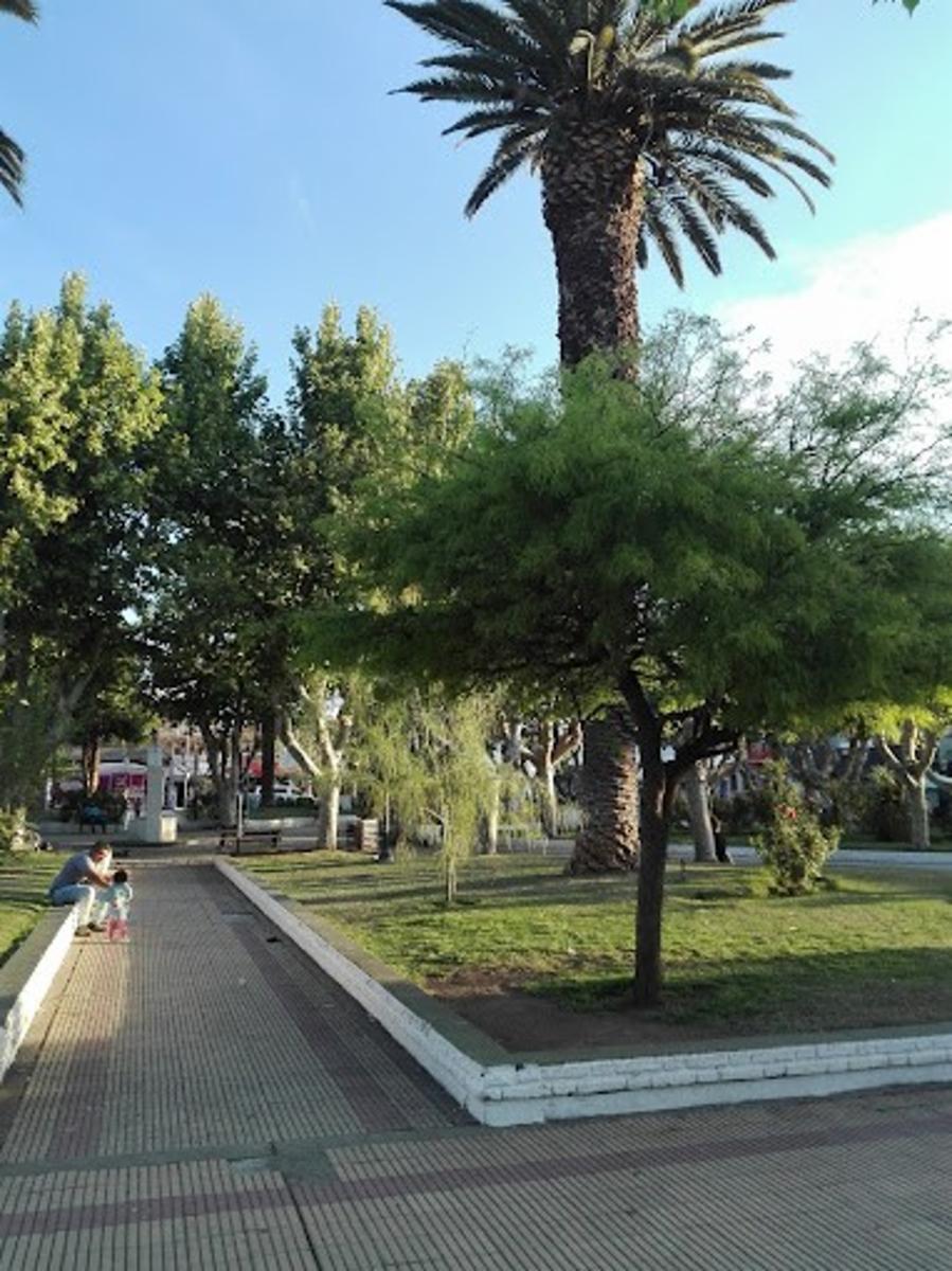 Mercau · Junín — foto 4