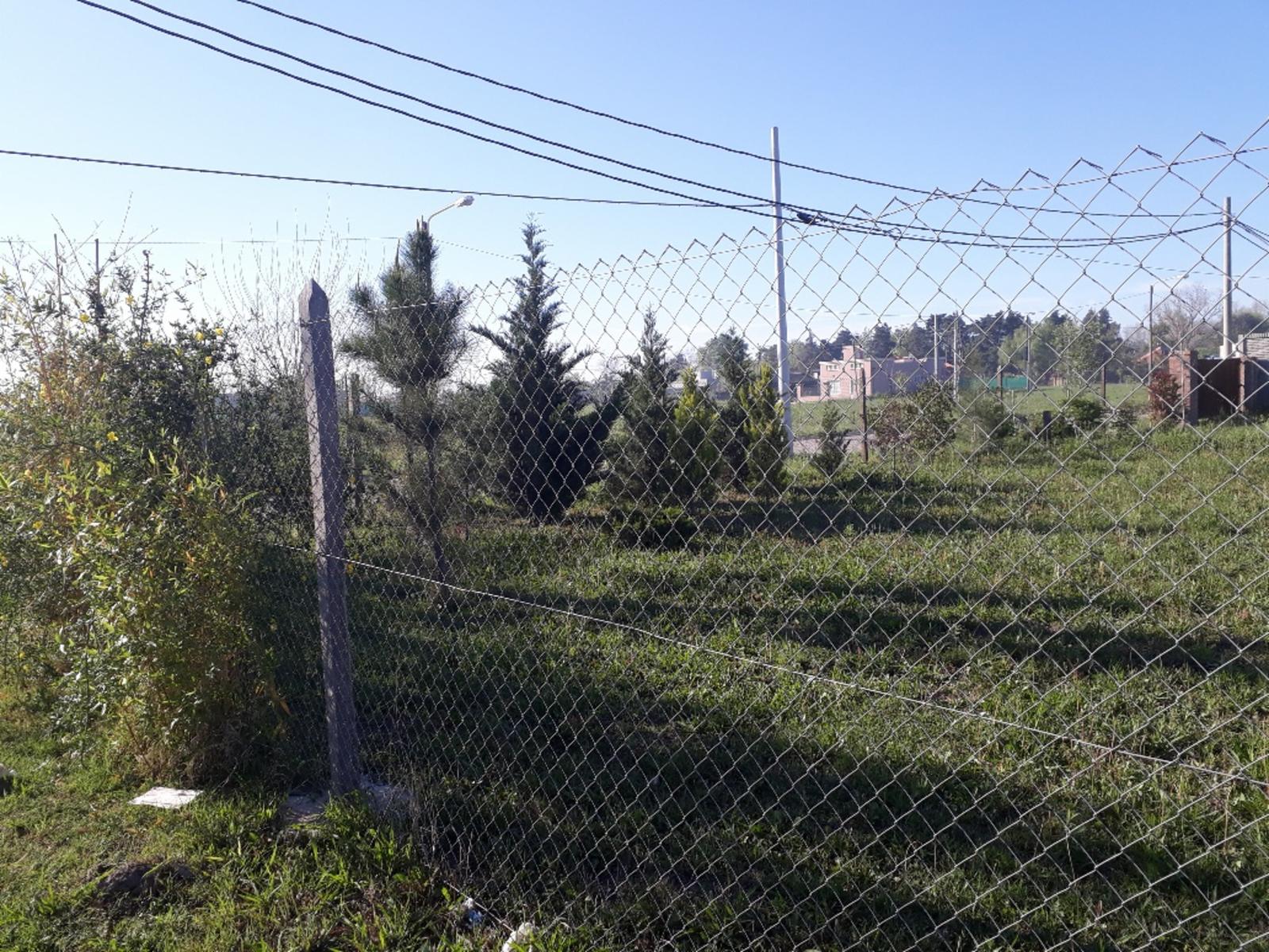 LAS ACEQUIAS · San Lorenzo — foto 3