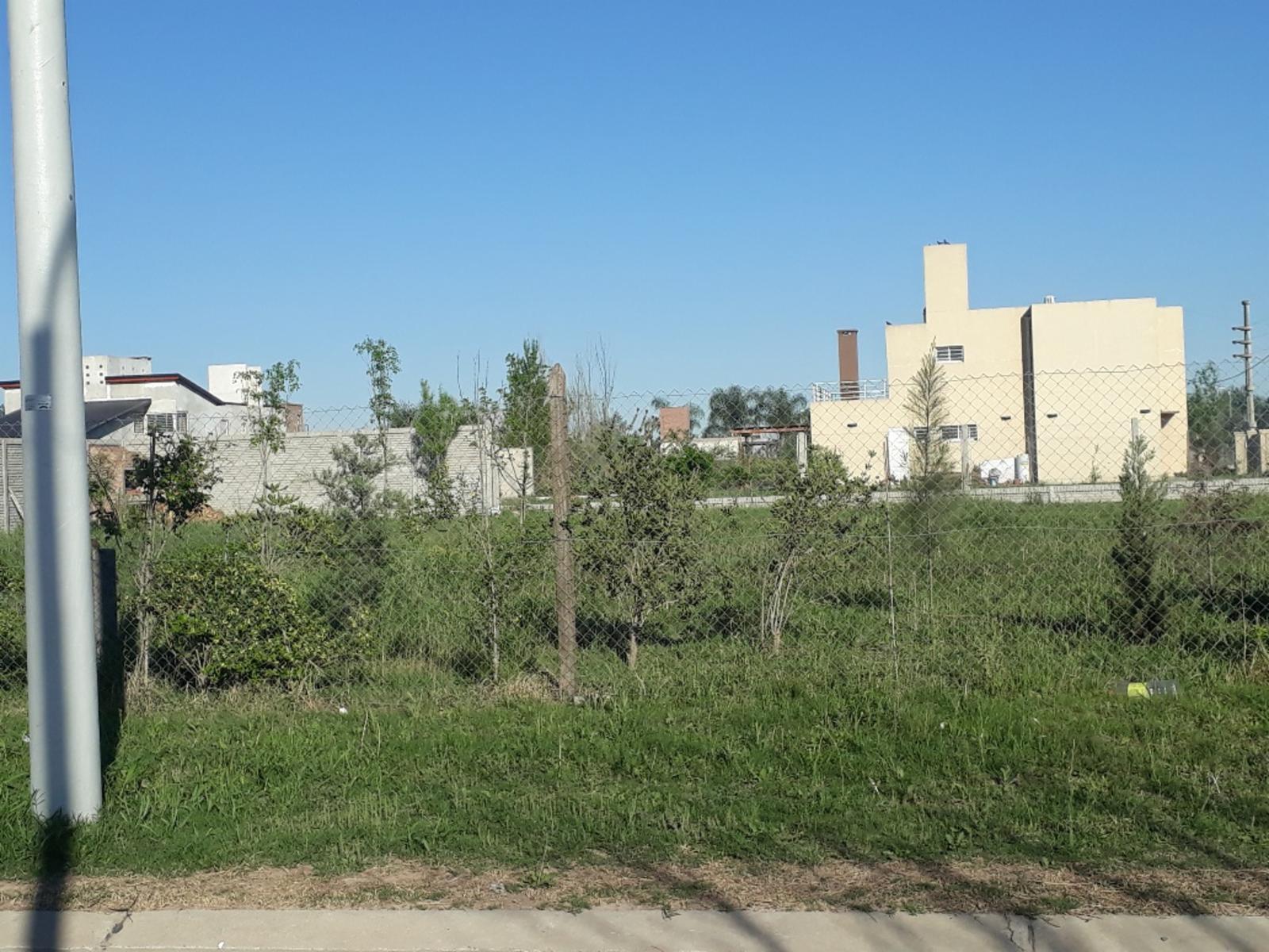 LAS ACEQUIAS · San Lorenzo — foto 6