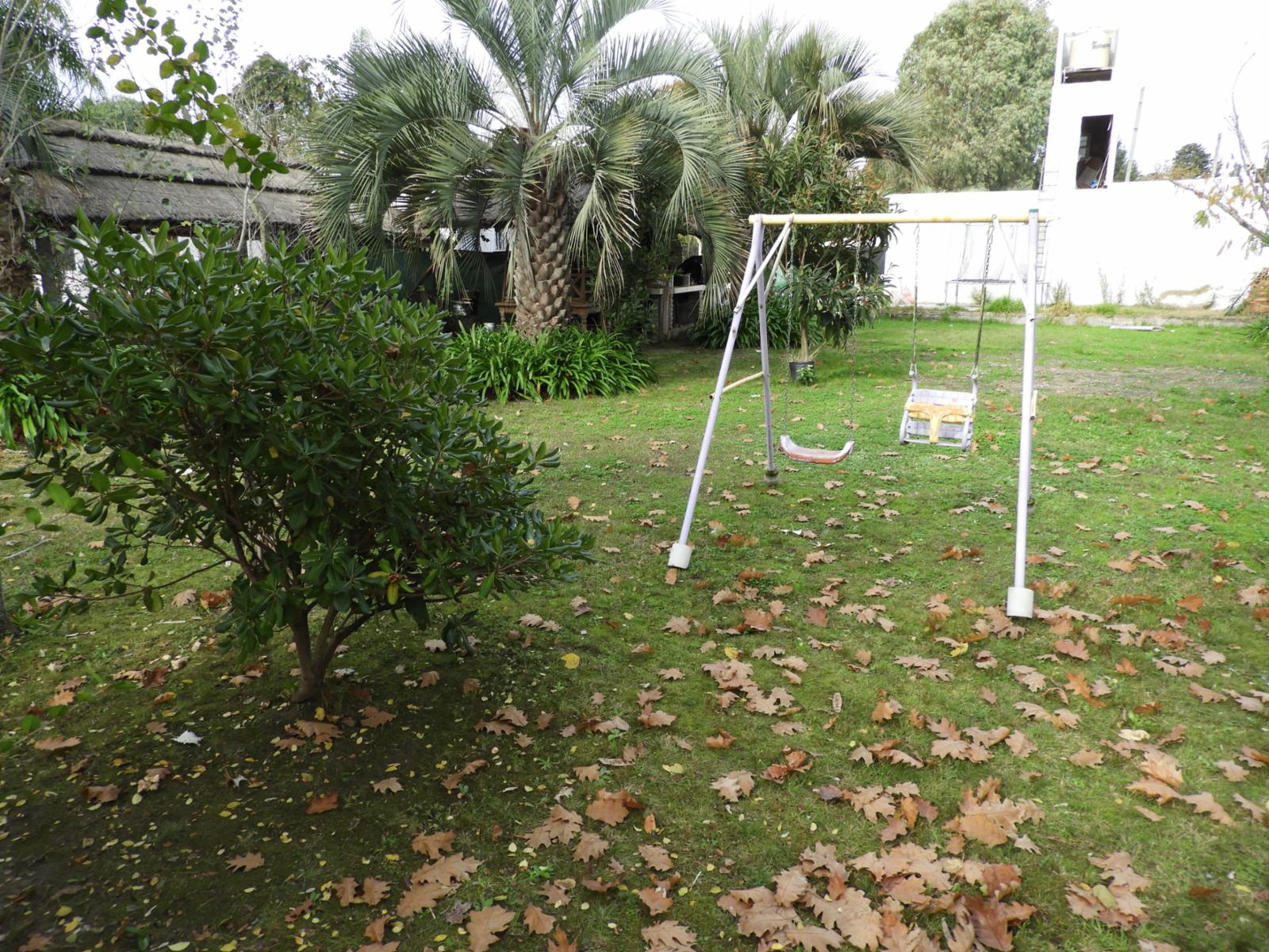 ROCA 198 · Tigre — foto 4