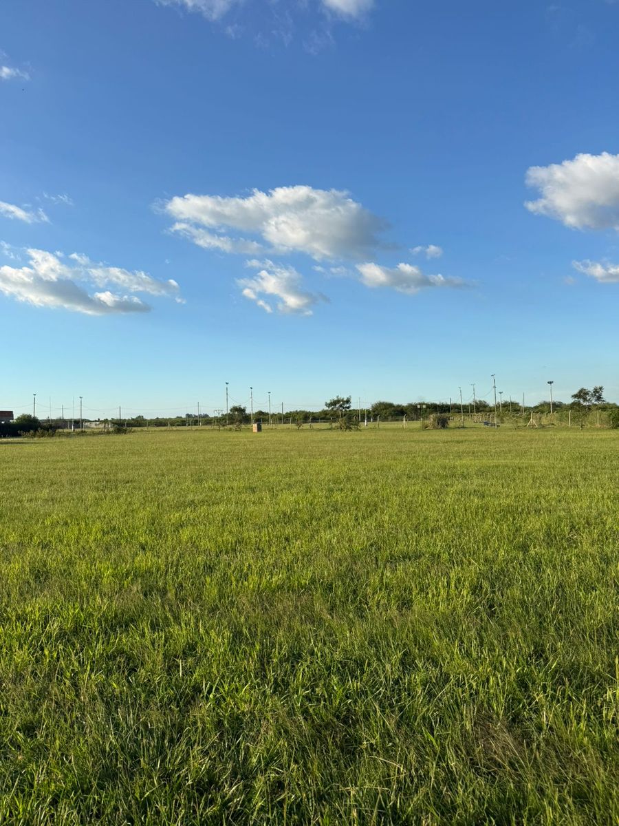 Autopista Santa Fe - Rosario km 155, Solares de Paucke · La Capital — foto 4