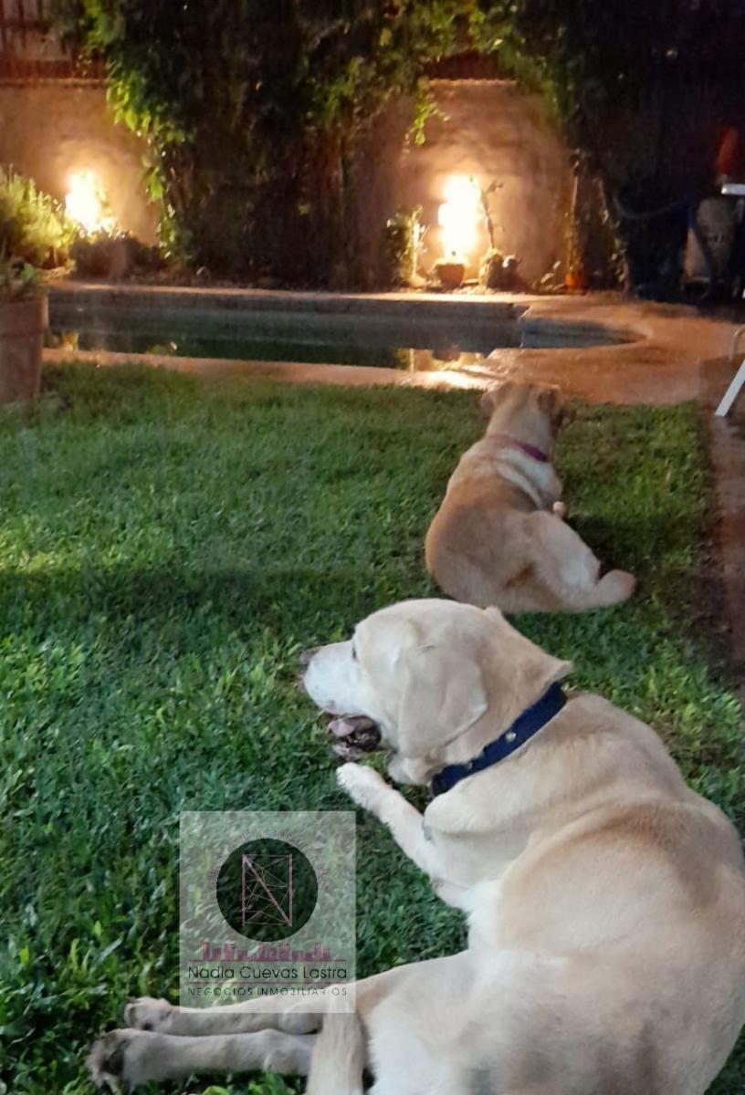 Berutti 700 · Morón — foto 12