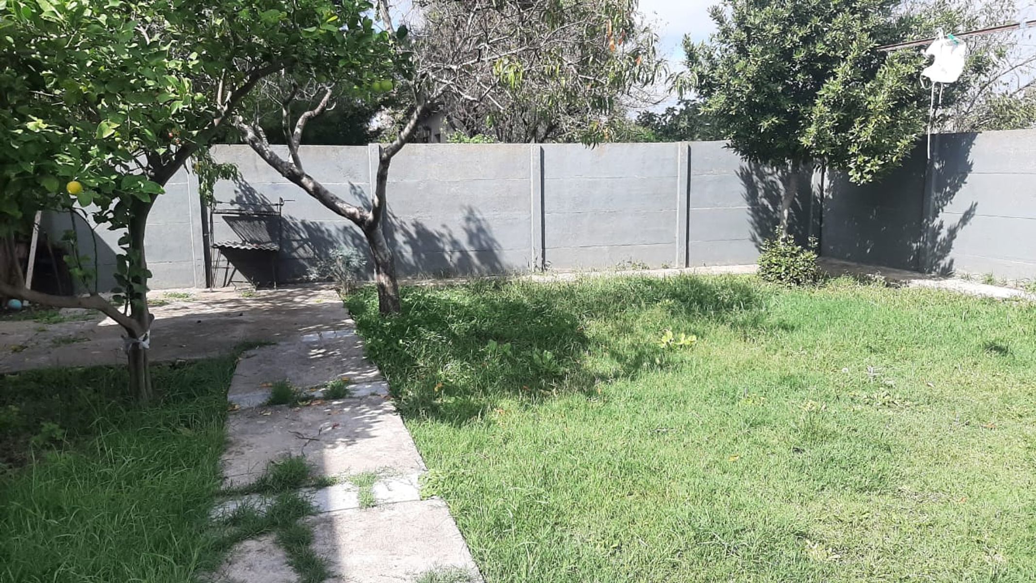 12 de octubre 300 · Tres Arroyos — foto 7