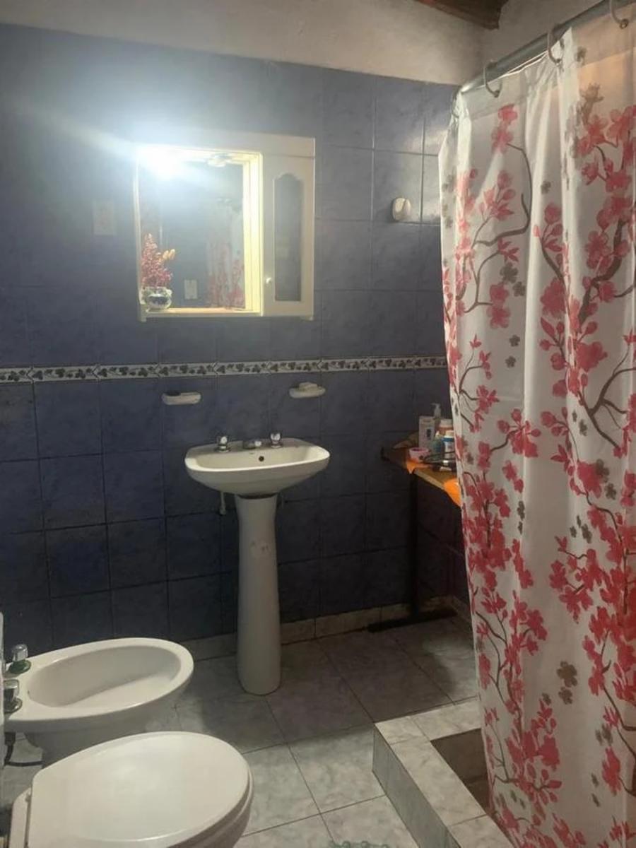 Matheu 1509 · Tigre — foto 11