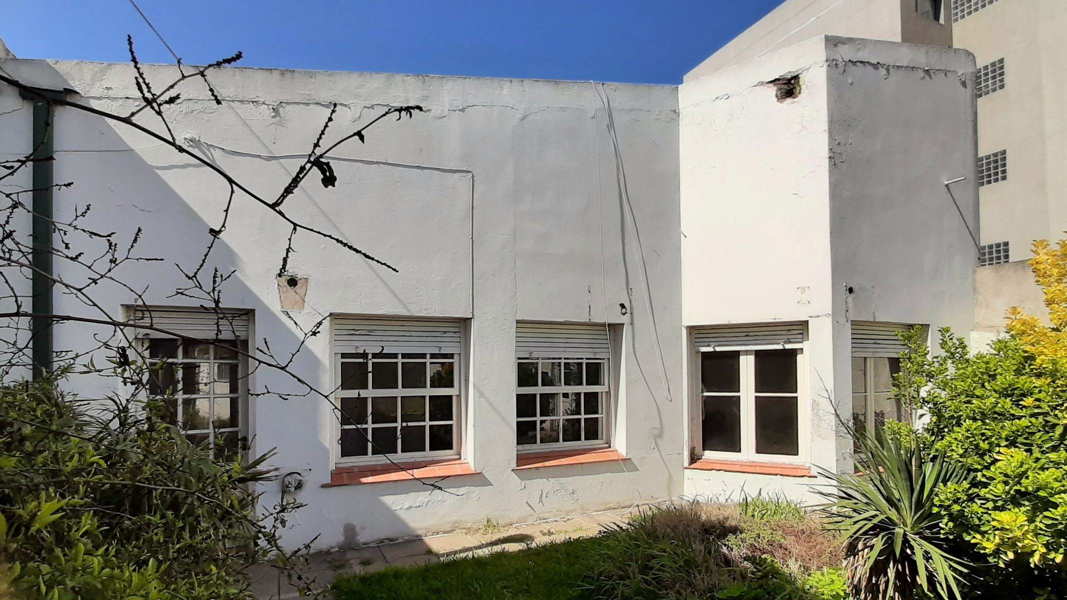 Belgrano 300 · Tres Arroyos — foto 22