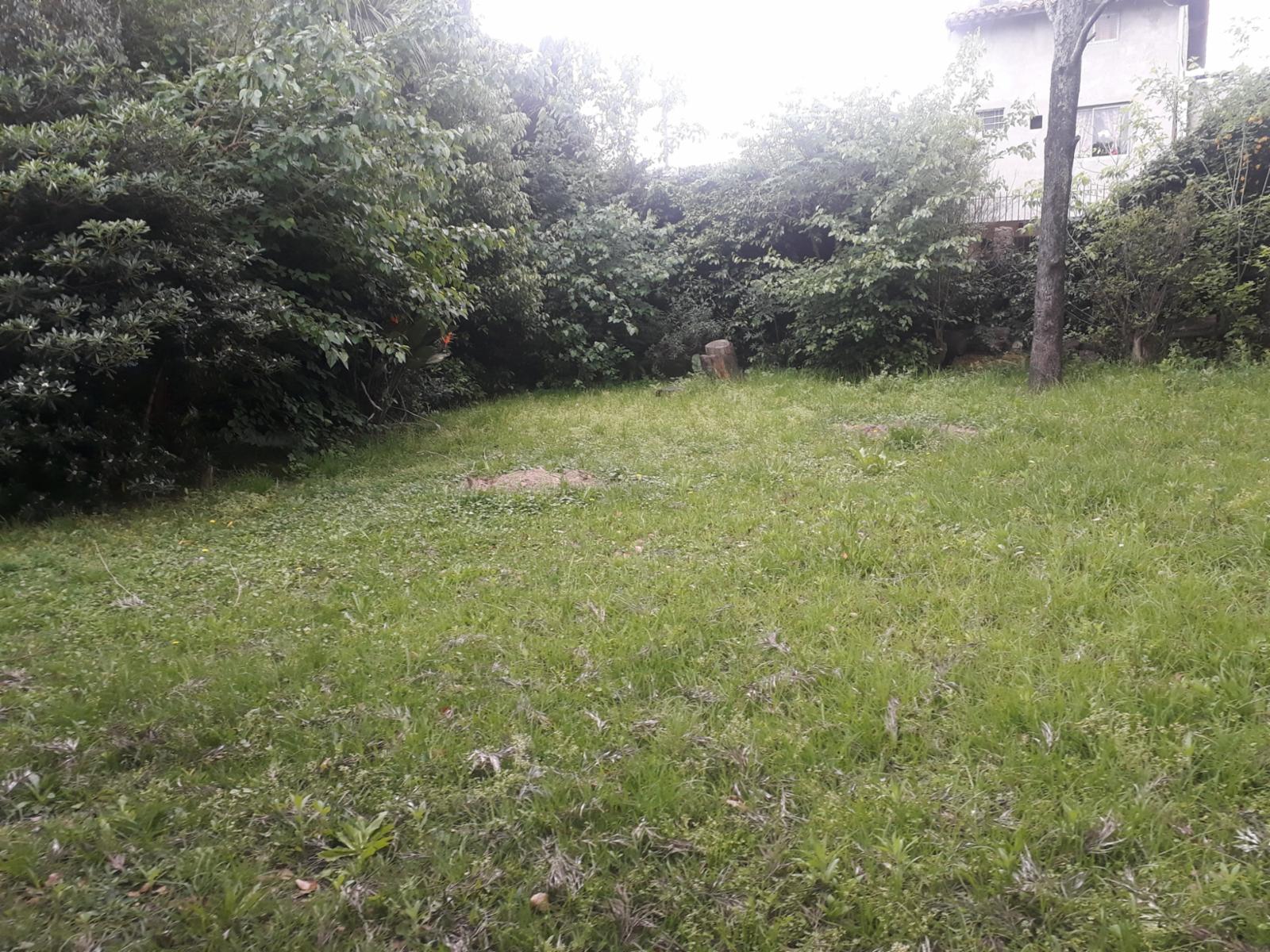 Gelpi 835 · Ituzaingó — foto 3