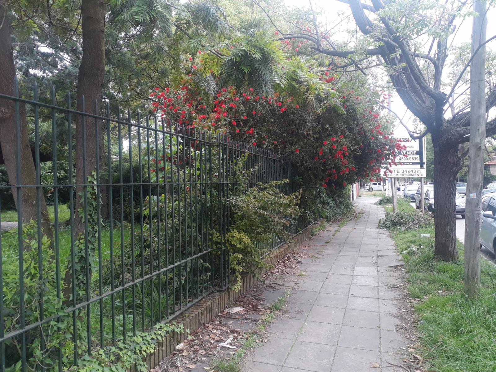 Gelpi 835 · Ituzaingó — foto 7