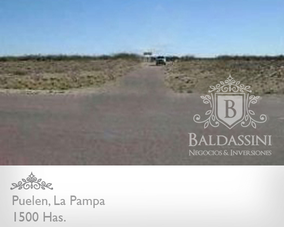 1500 HAS. EN COLONIA 25 DE MAYO, PUELÉN, LA PAMPA - GANADERAS