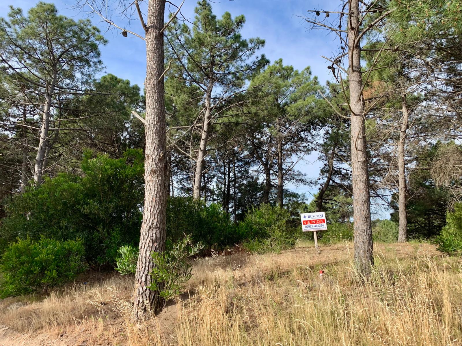 Las Cotorras entre Sansot y Lechuzas · Monte Hermoso — foto 3