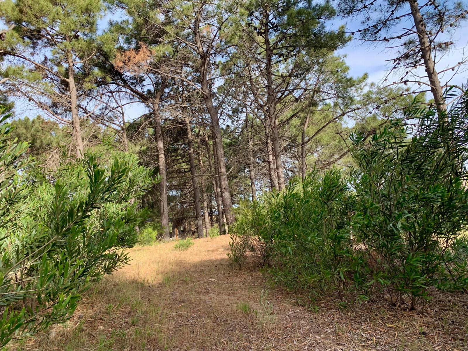 Las Cotorras entre Sansot y Lechuzas · Monte Hermoso — foto 5