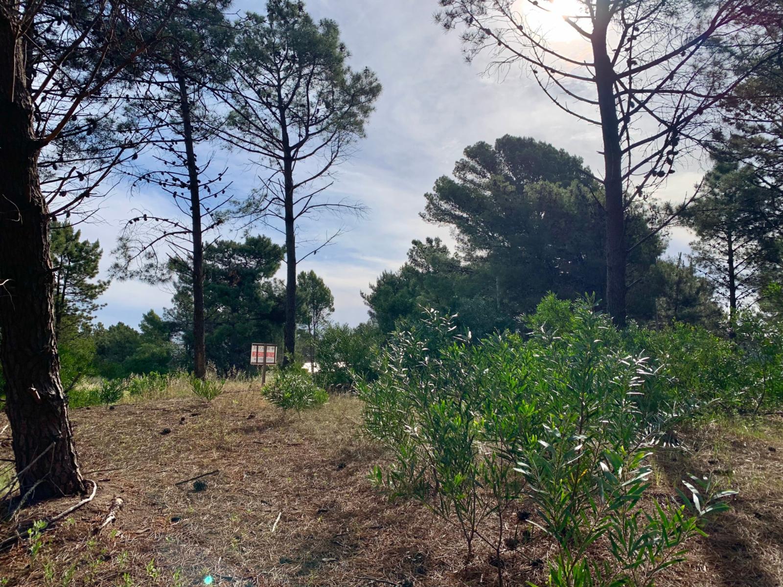 Las Cotorras entre Sansot y Lechuzas · Monte Hermoso — foto 7