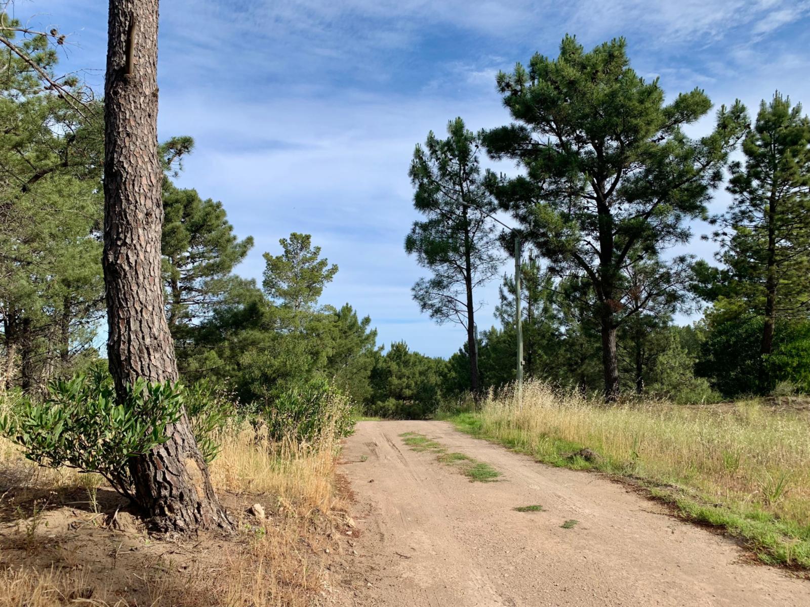Las Cotorras entre Sansot y Lechuzas · Monte Hermoso — foto 8