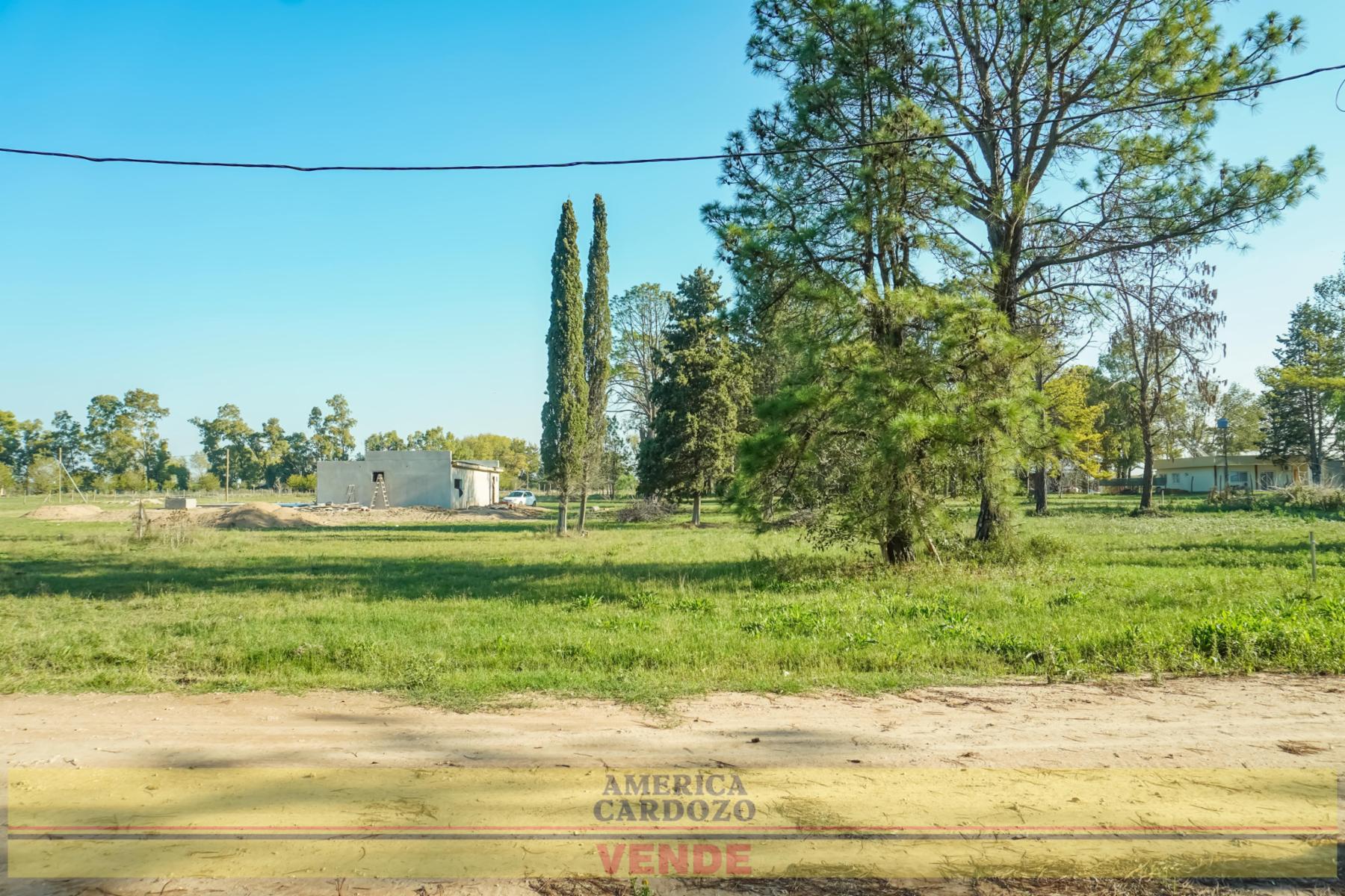Artigas 2400 · Merlo — foto 6