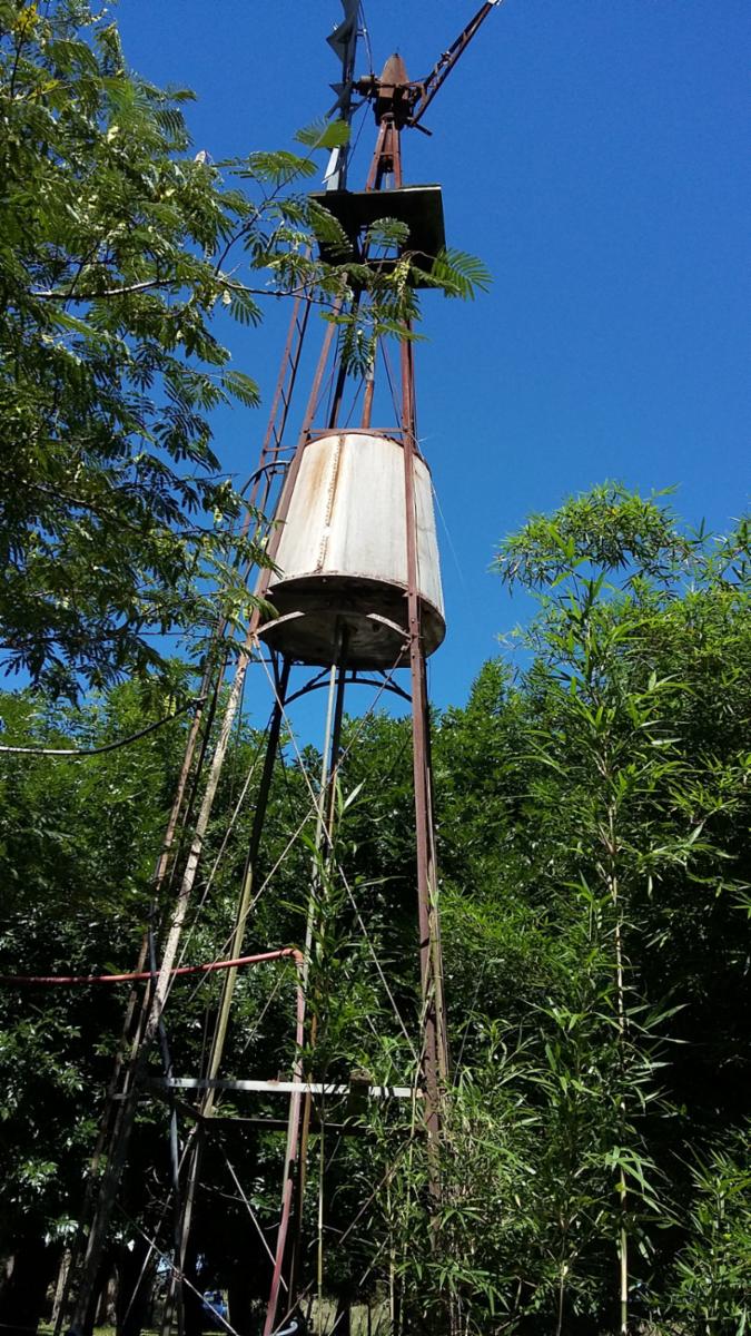 Calle Rural sin nombre · Punta Indio — foto 6