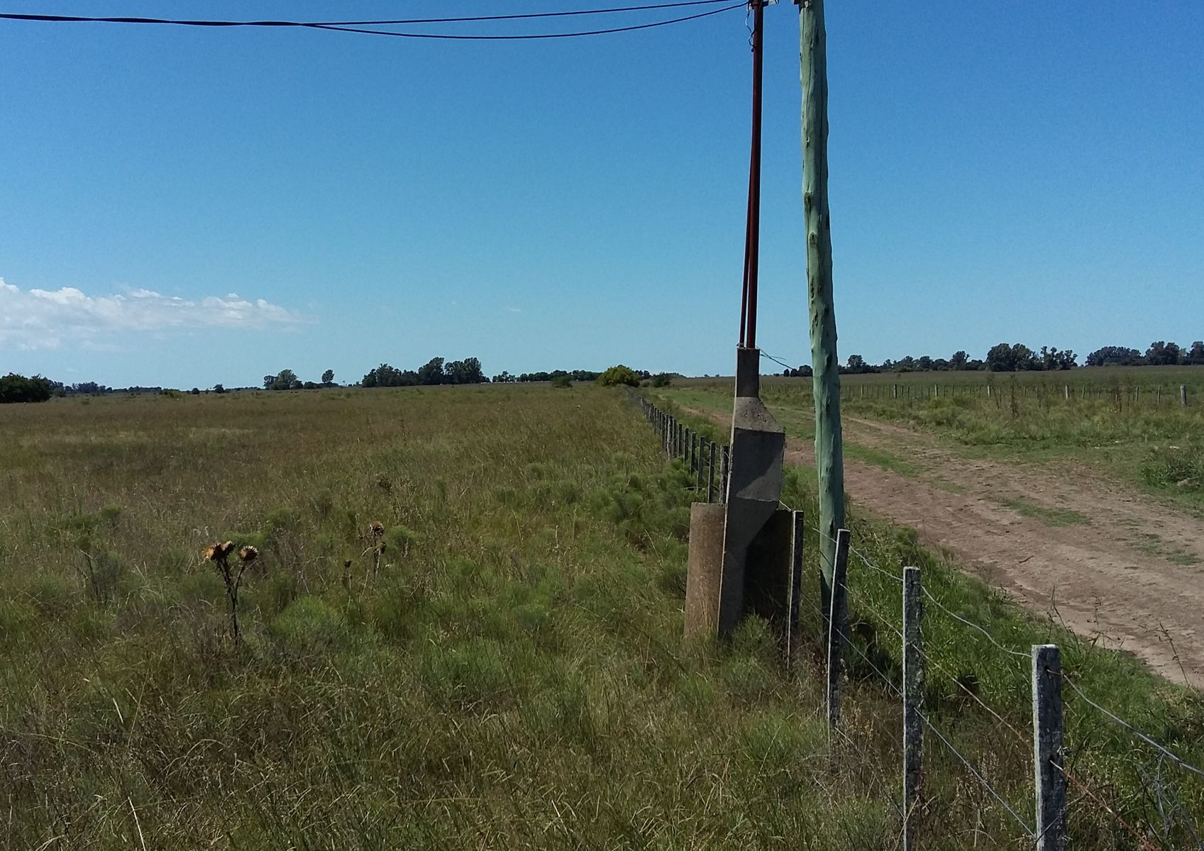 Calle Rural sin nombre · Punta Indio — foto 9
