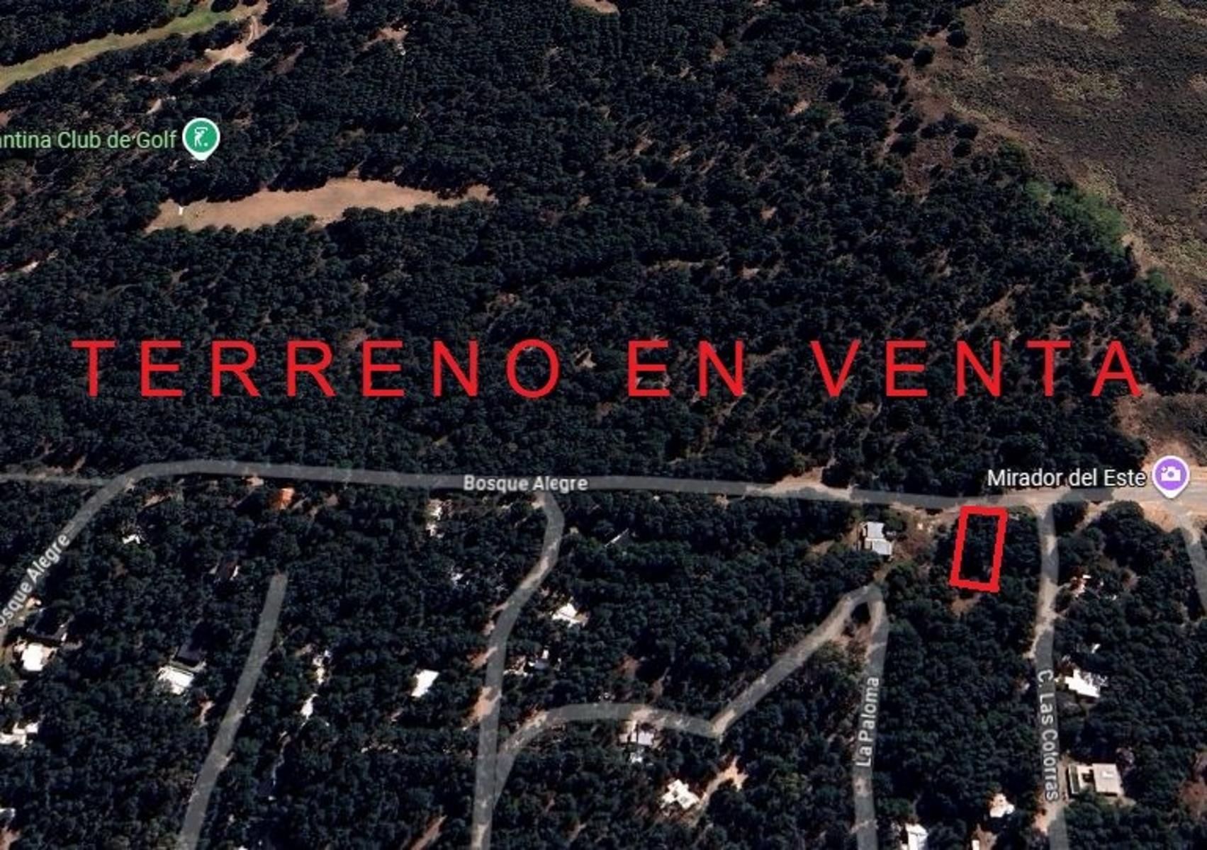 Bosque Alegre · Monte Hermoso — foto 10