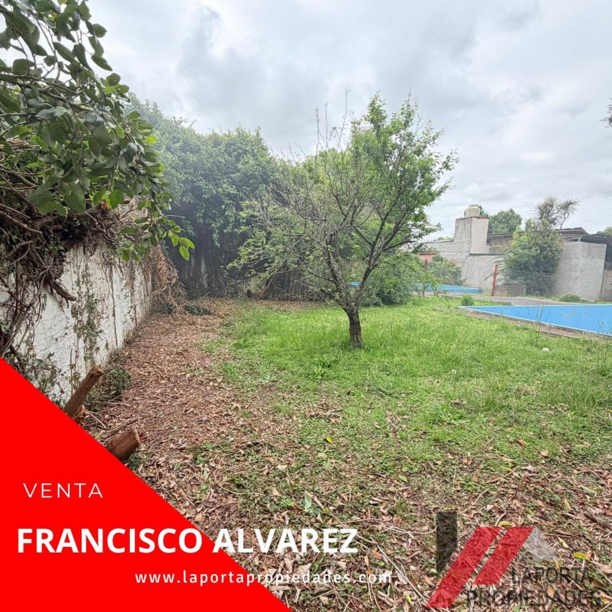 JOSE. MIRO · Moreno — foto 4