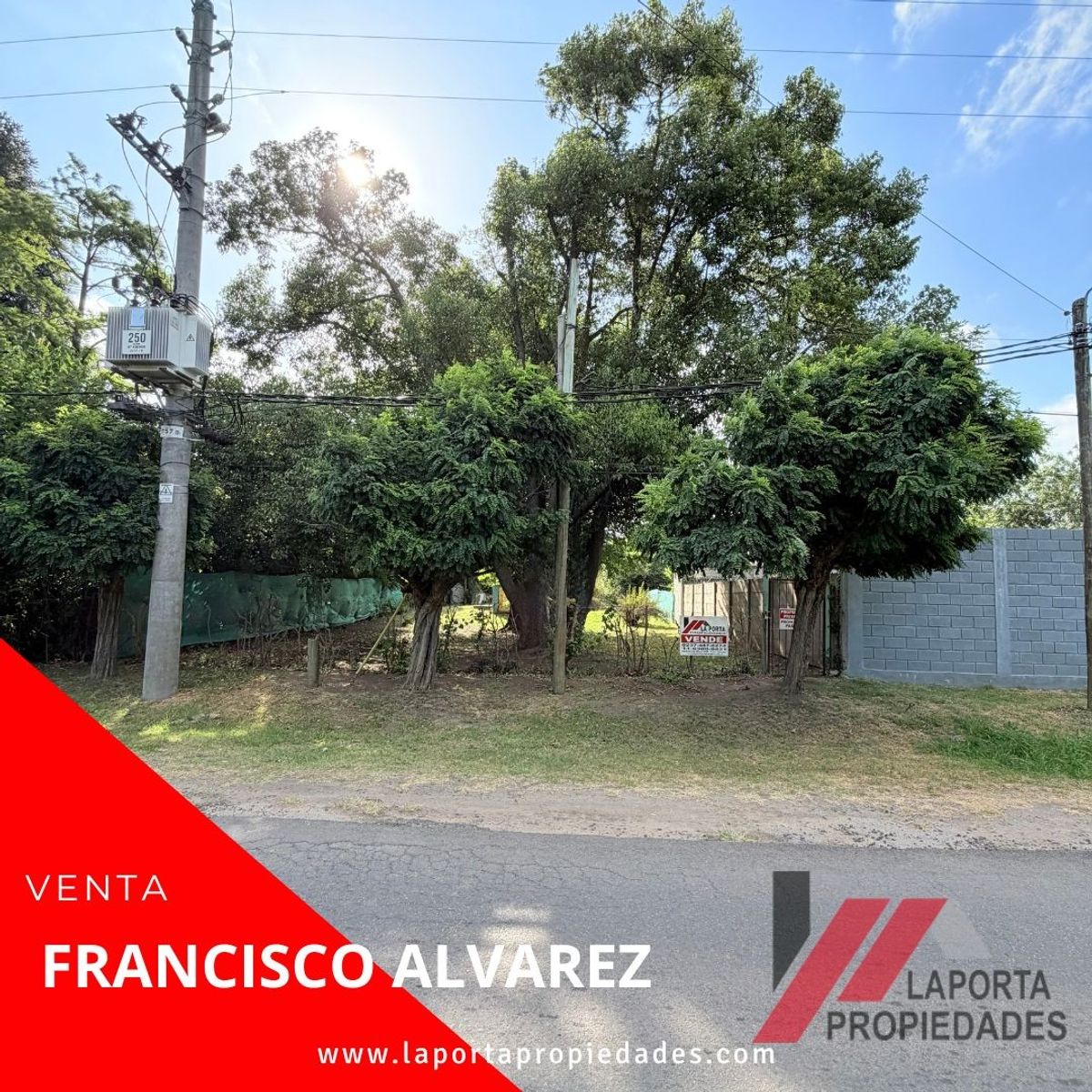 JOSE. MIRO · Moreno — foto 10