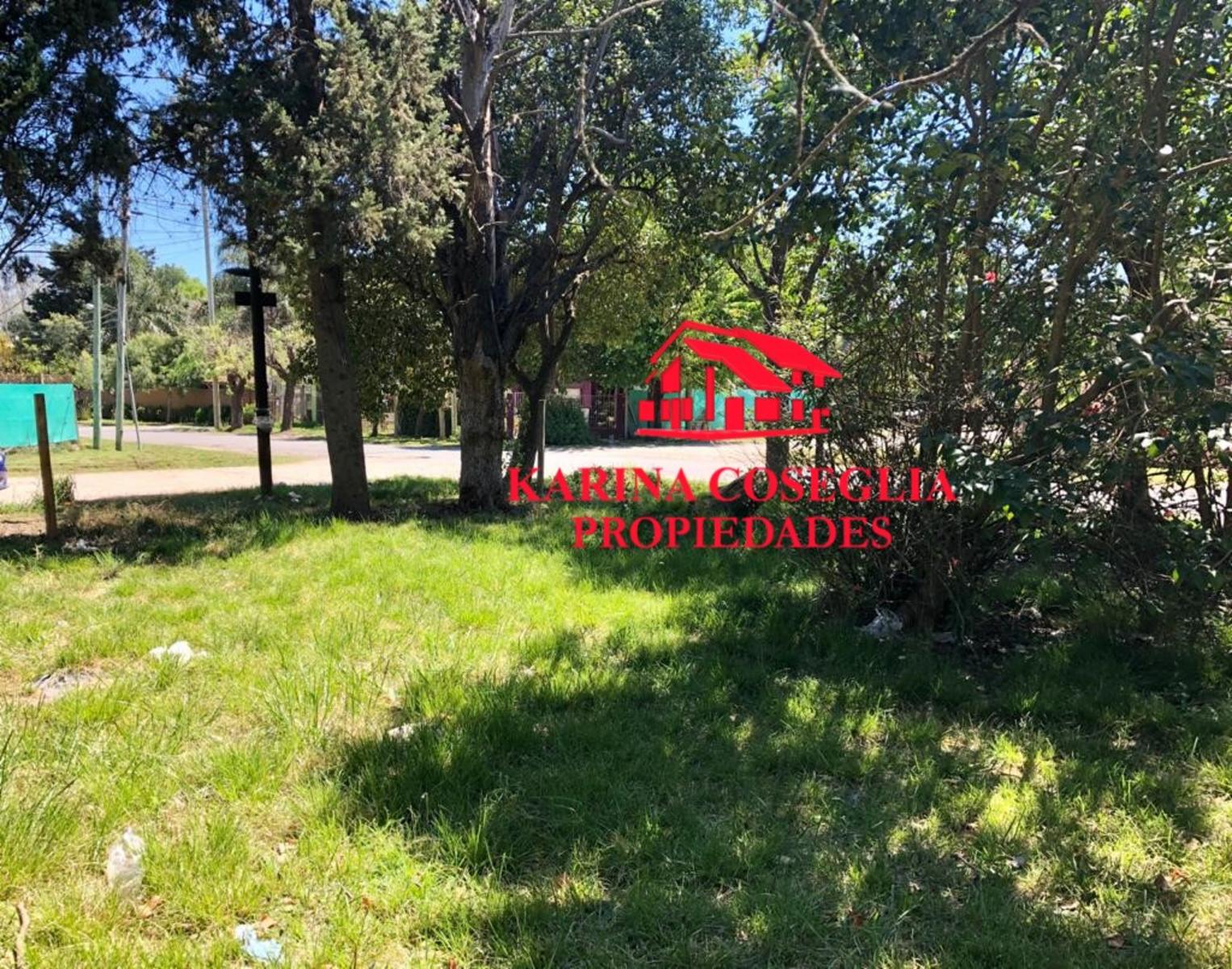 Deportivo Mitre Golf Club 2300 · Pilar — foto 3