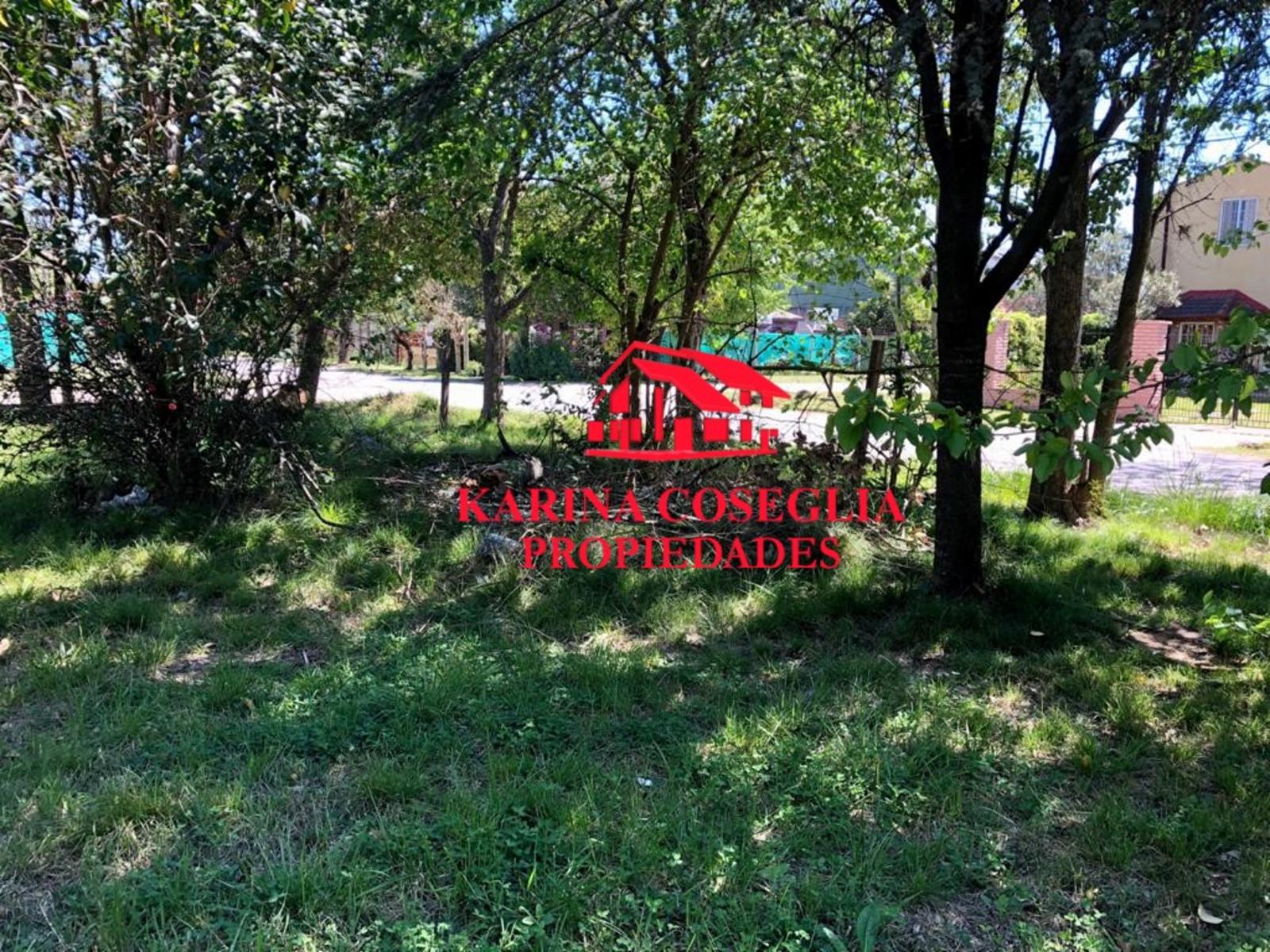 Deportivo Mitre Golf Club 2300 · Pilar — foto 5