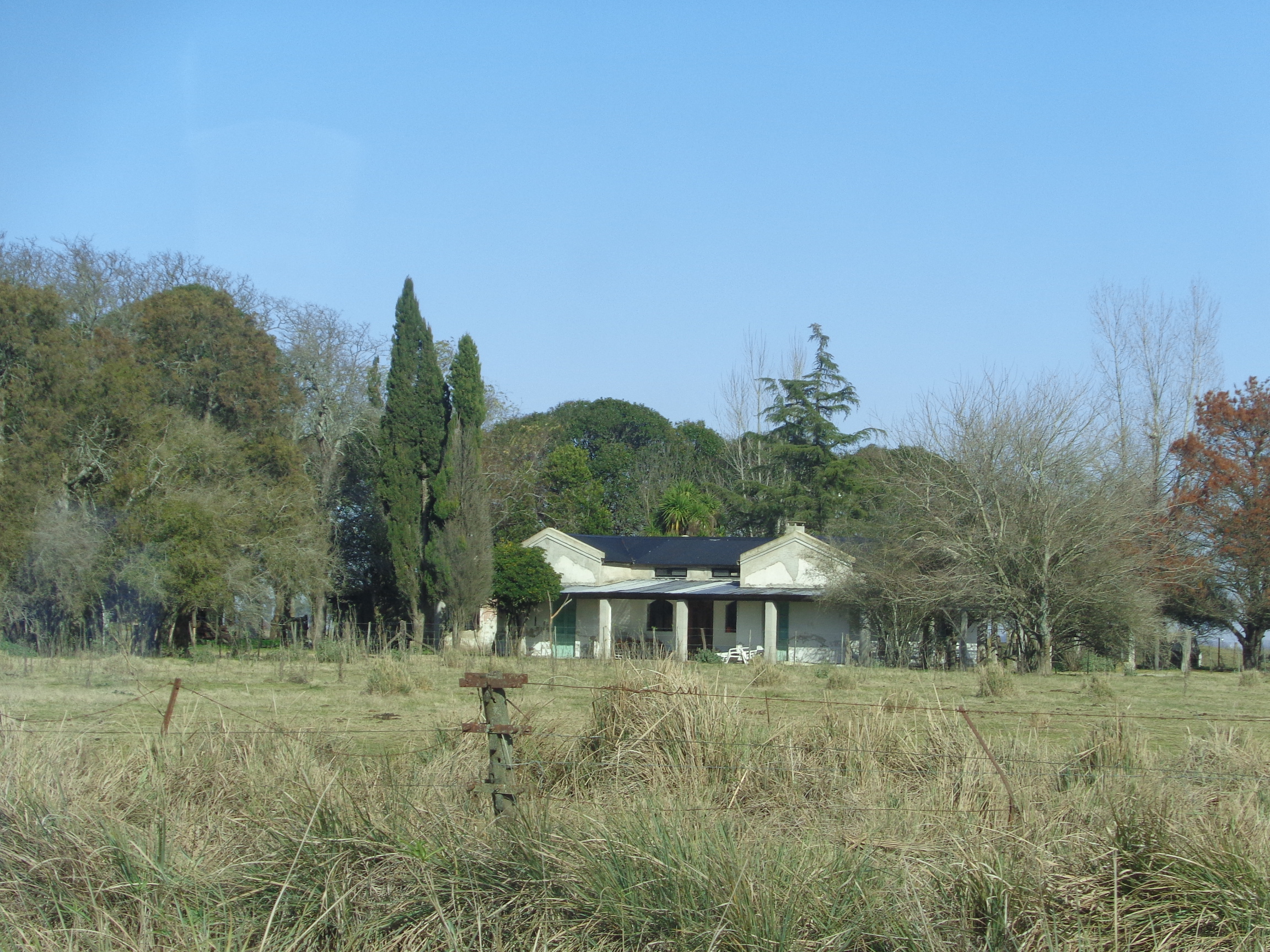 Ruta 3, km 224 · Las Flores — foto 3