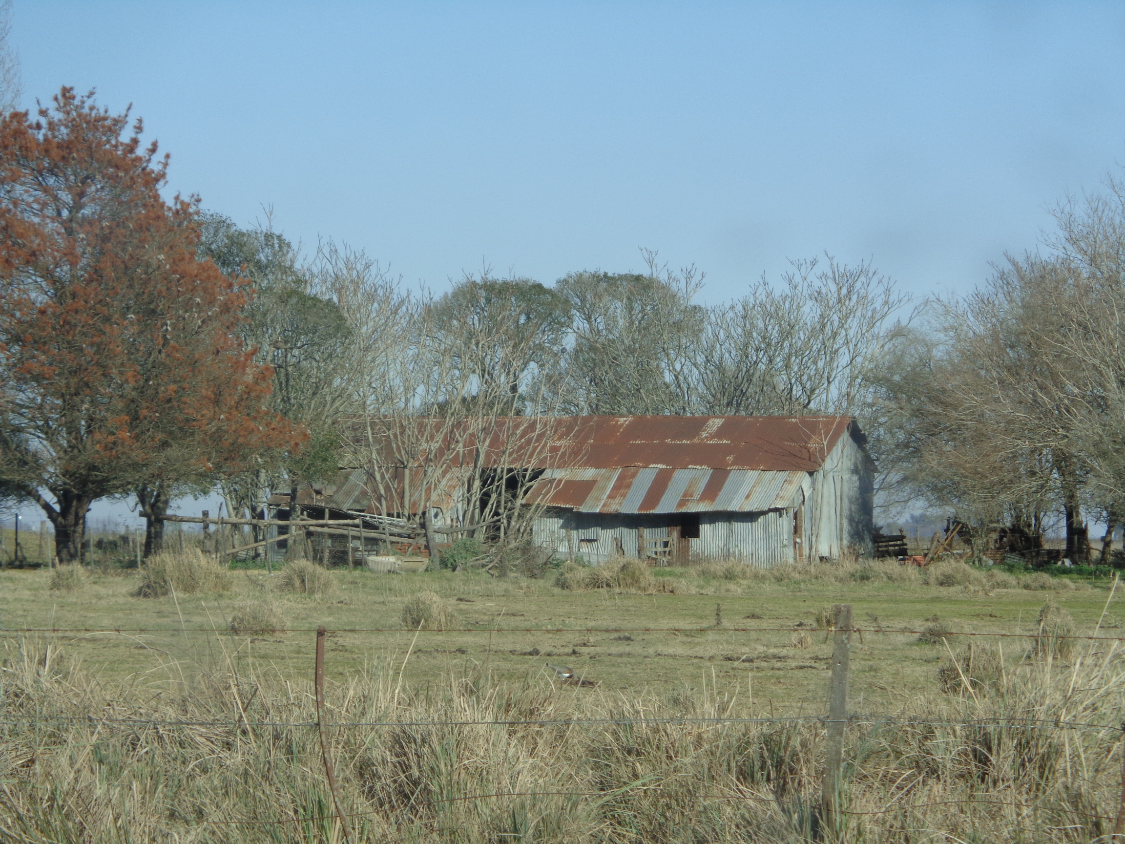Ruta 3, km 224 · Las Flores — foto 4