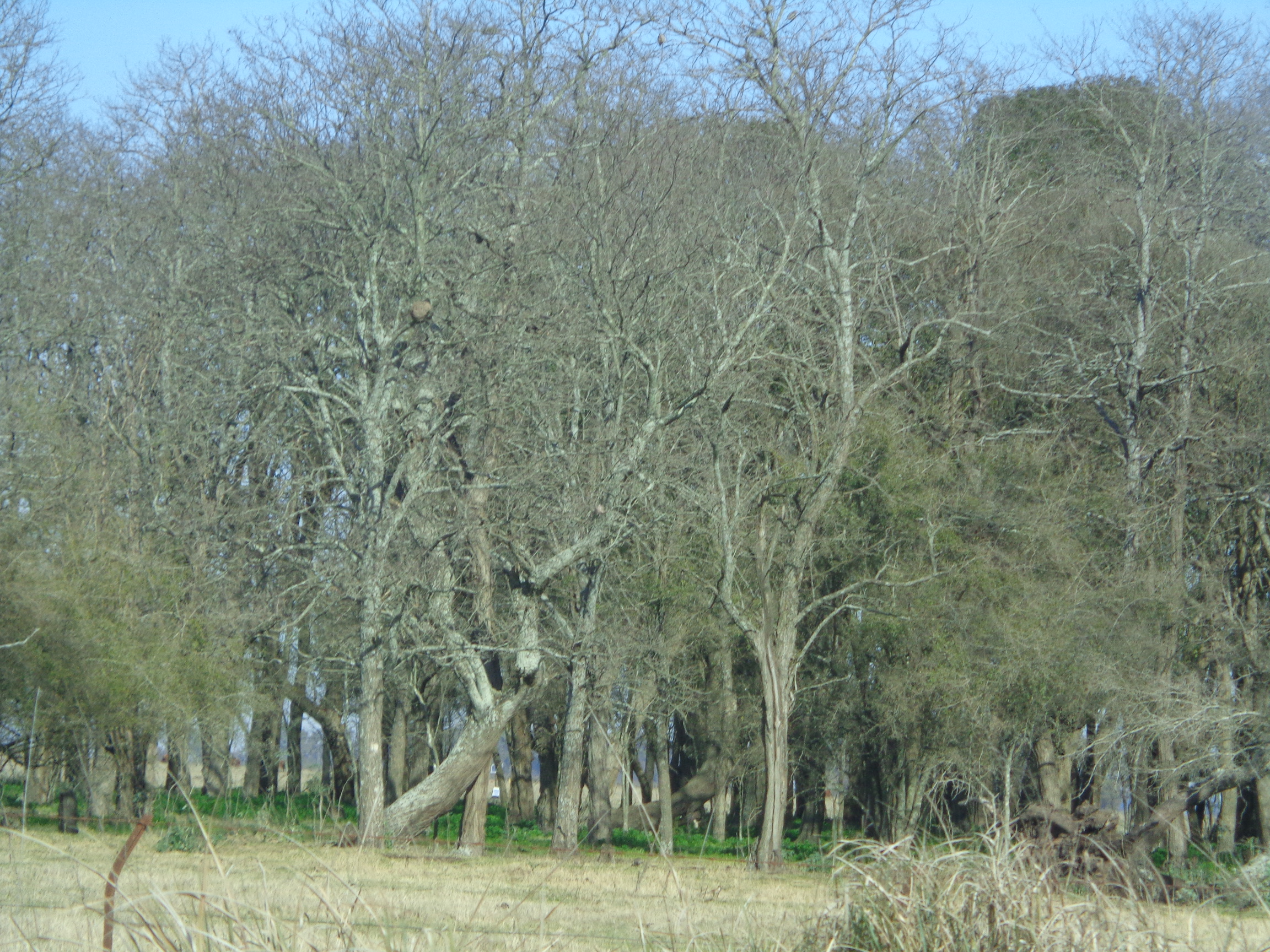 Ruta 3, km 224 · Las Flores — foto 5