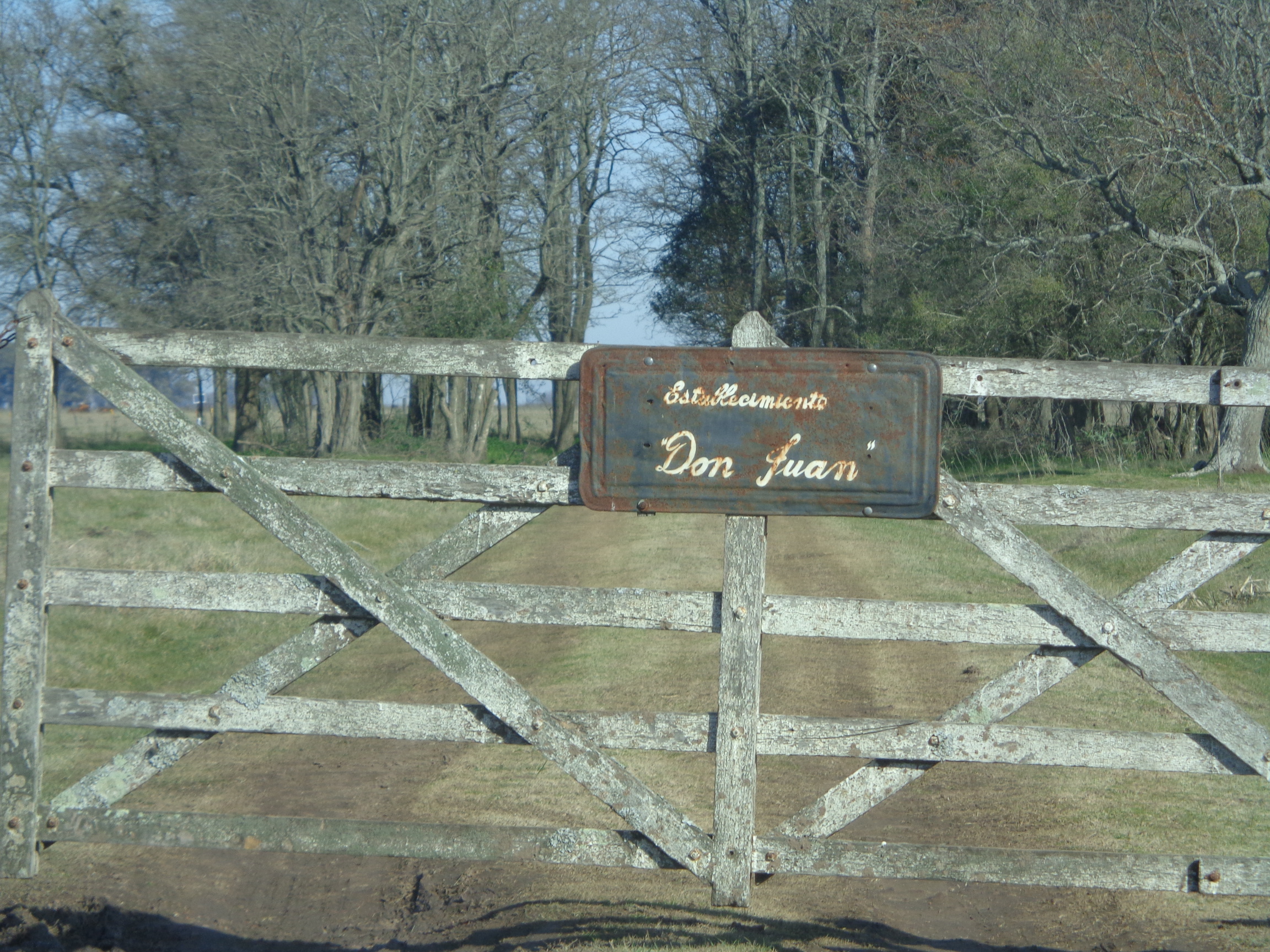 Ruta 3, km 224 · Las Flores — foto 6