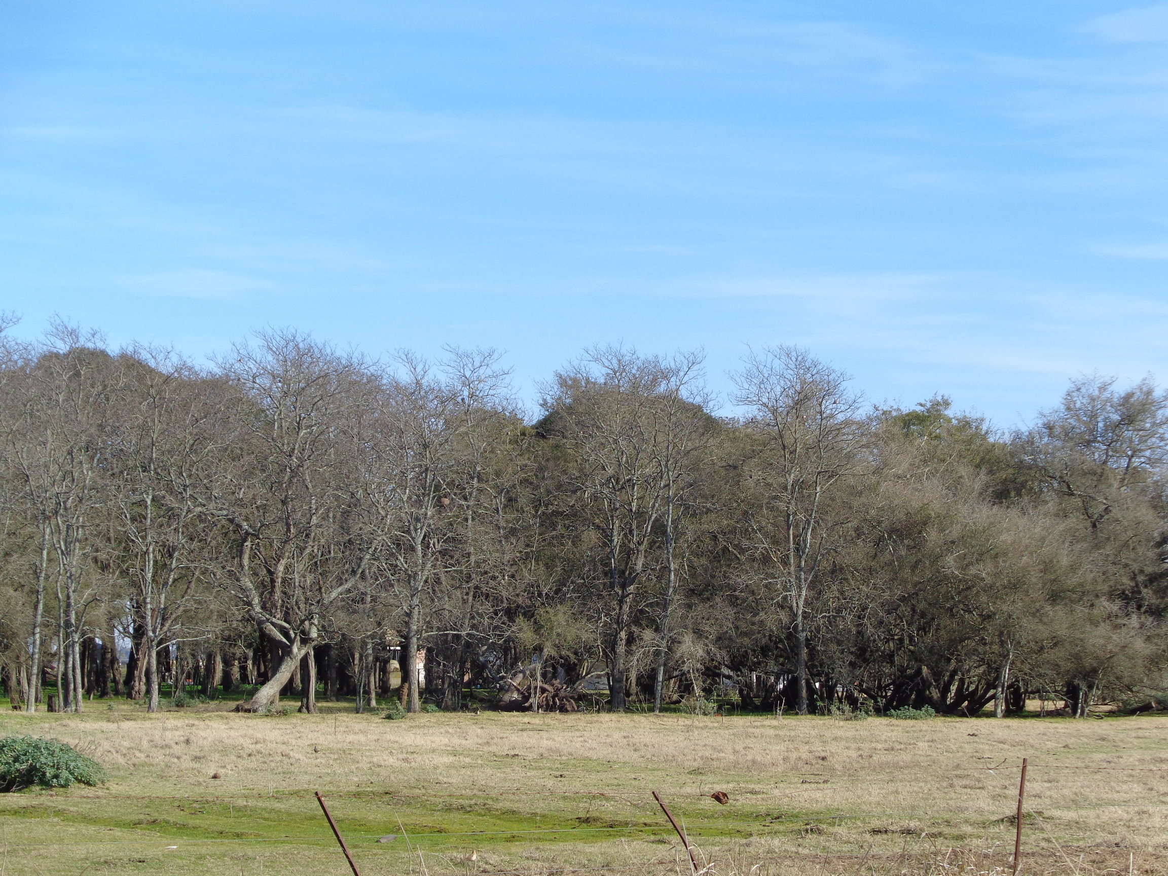 Ruta 3, km 224 · Las Flores — foto 7