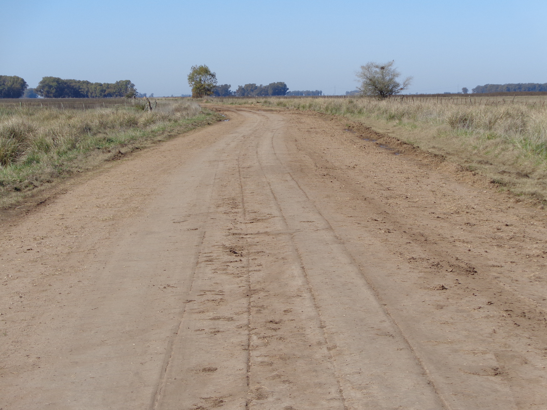 Ruta 3, km 224 · Las Flores — foto 8