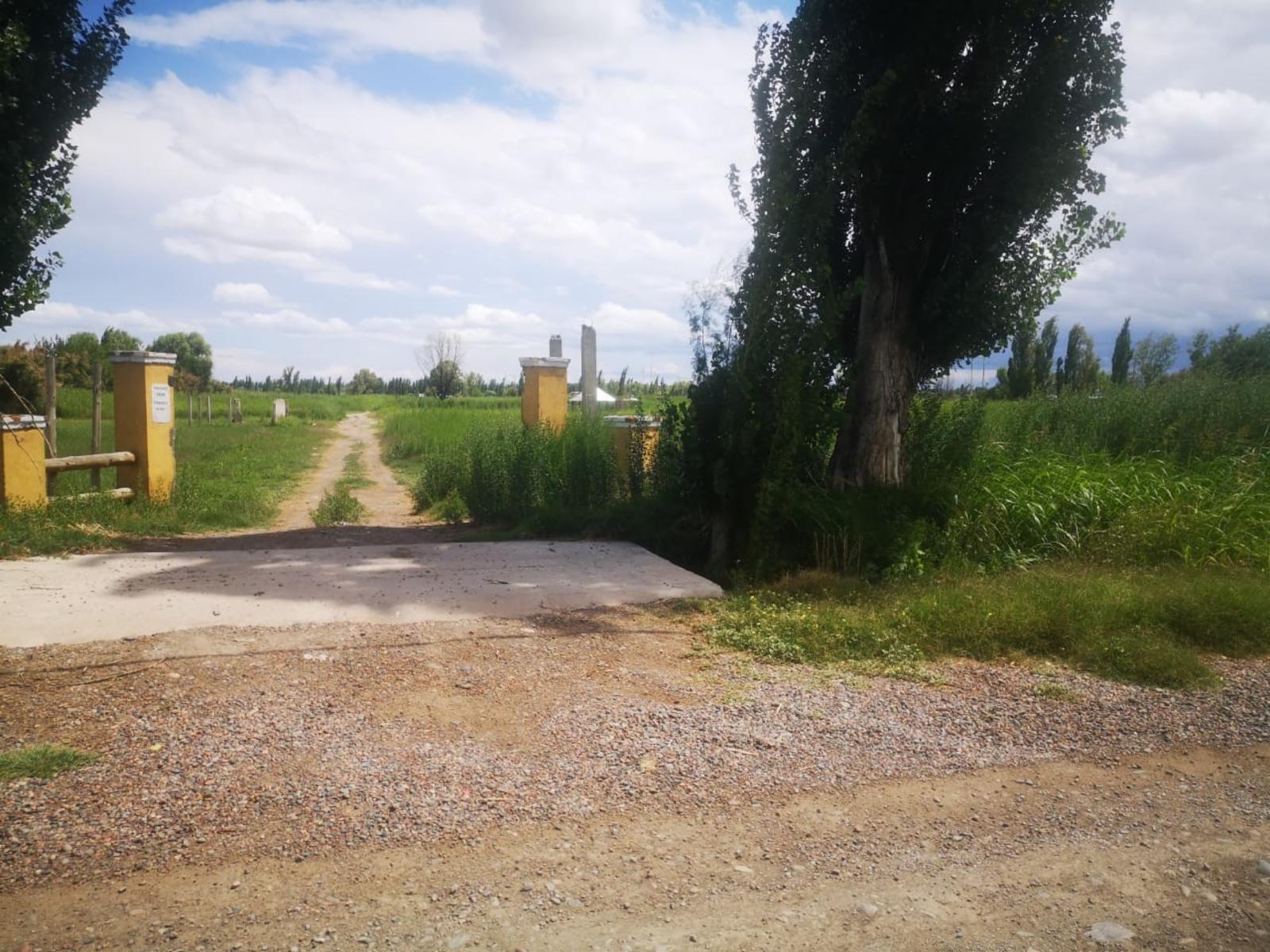 callejon lillo · Guaymallén — foto 5