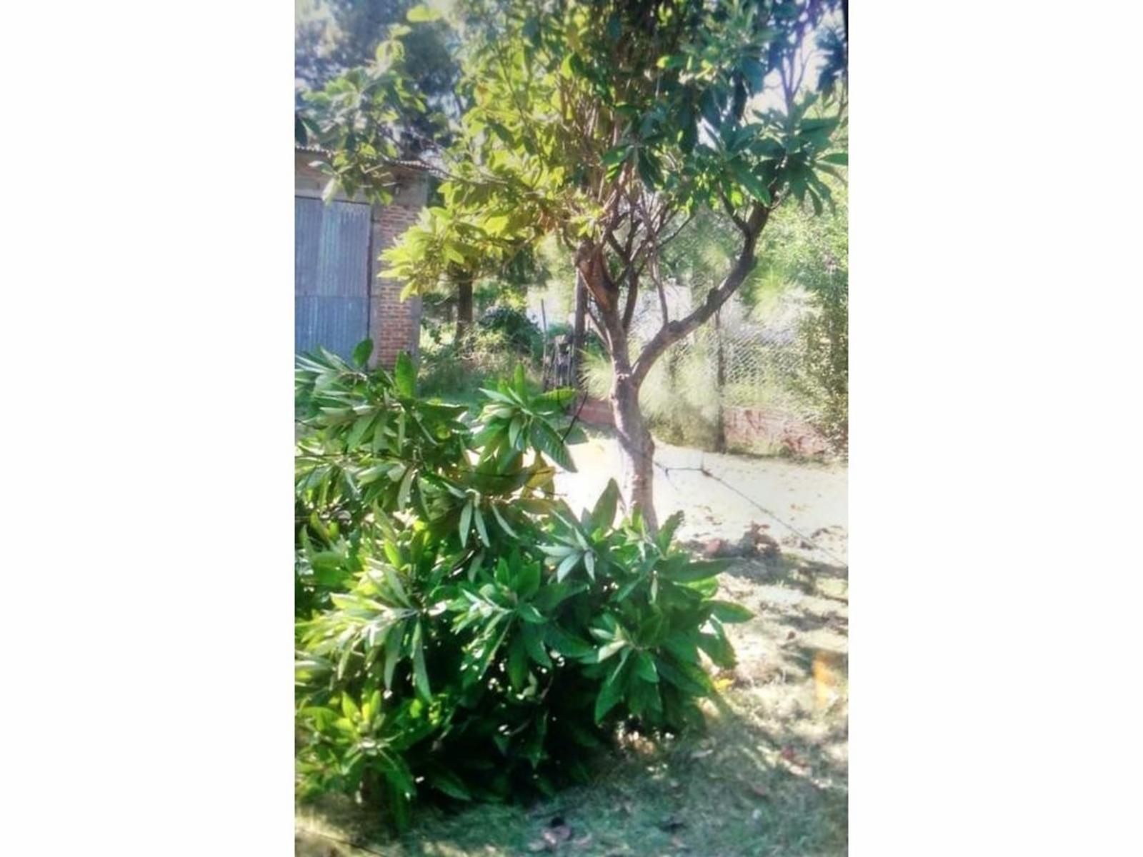 Irazusta 1704 · Gualeguaychú — foto 11