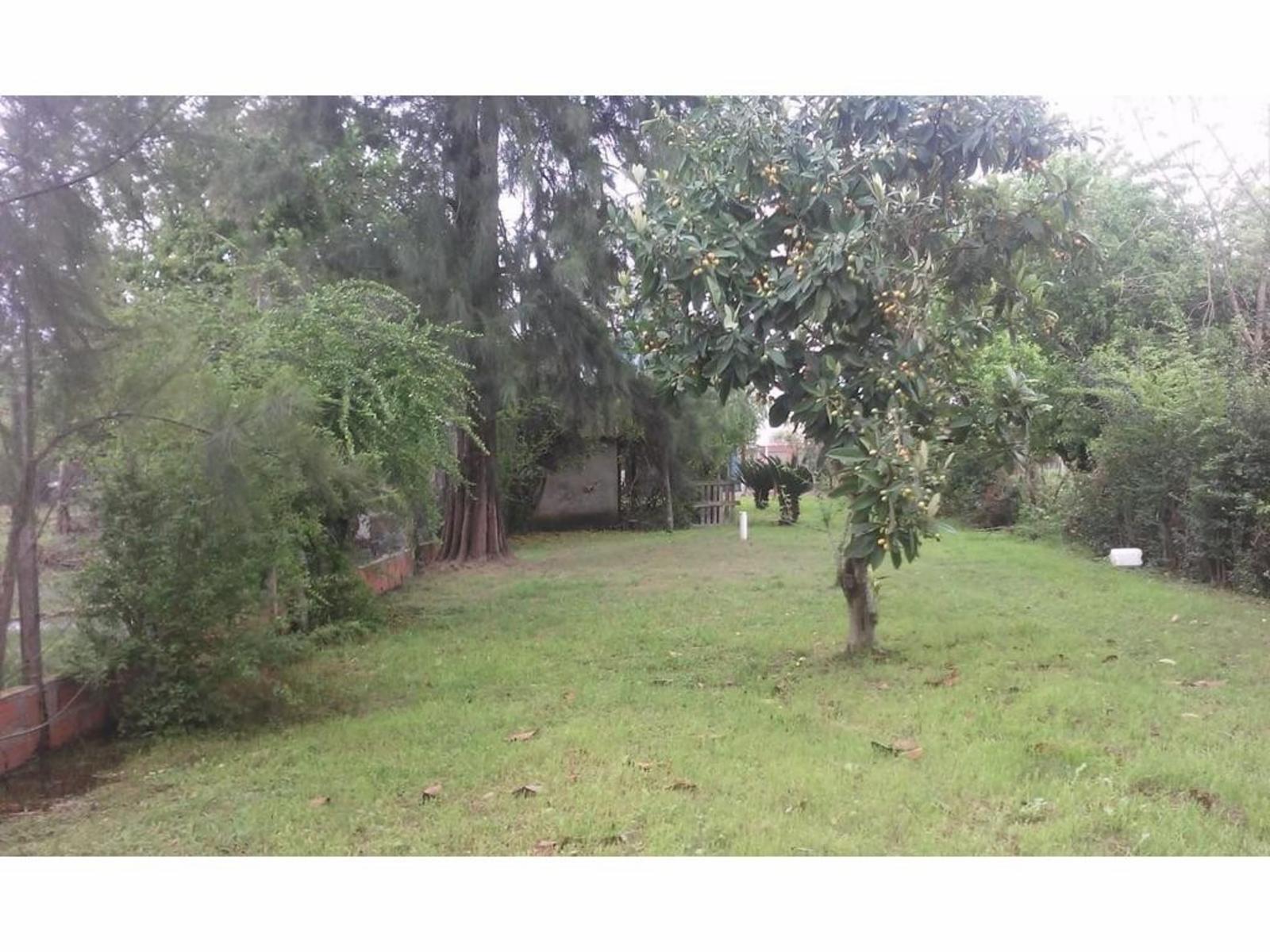 Irazusta 1704 · Gualeguaychú — foto 14