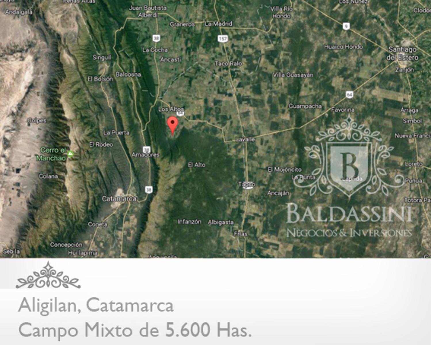 Campo Mixto 5600 has en Alijilán Pcia de Catamarca