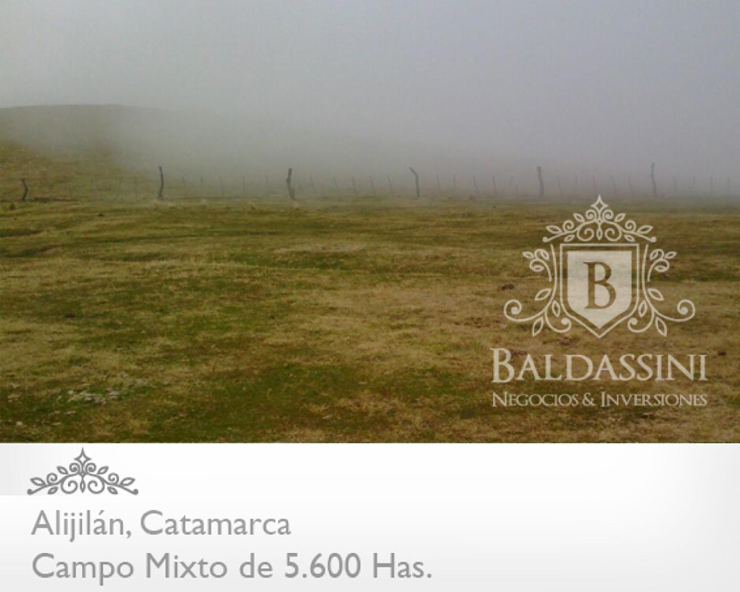 Campo Mixto 5600 has en Alijilán Pcia de Catamarca · Santa Rosa — foto 6