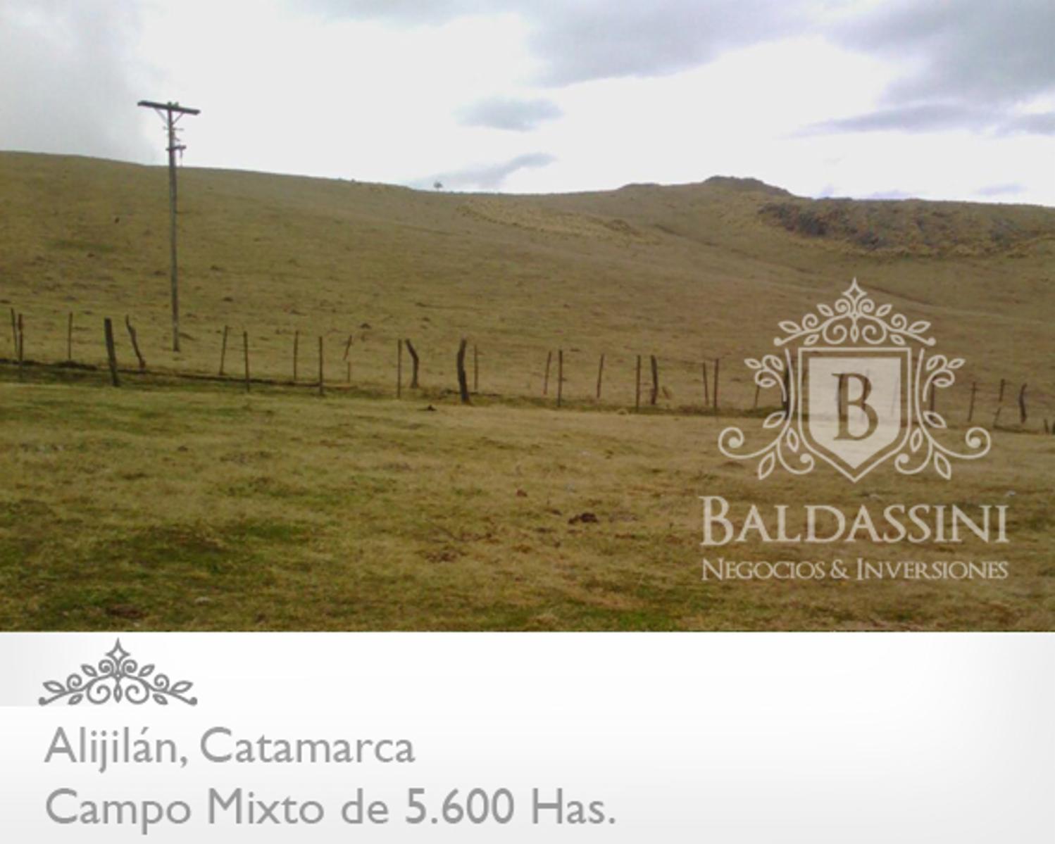 Campo Mixto 5600 has en Alijilán Pcia de Catamarca · Santa Rosa — foto 7