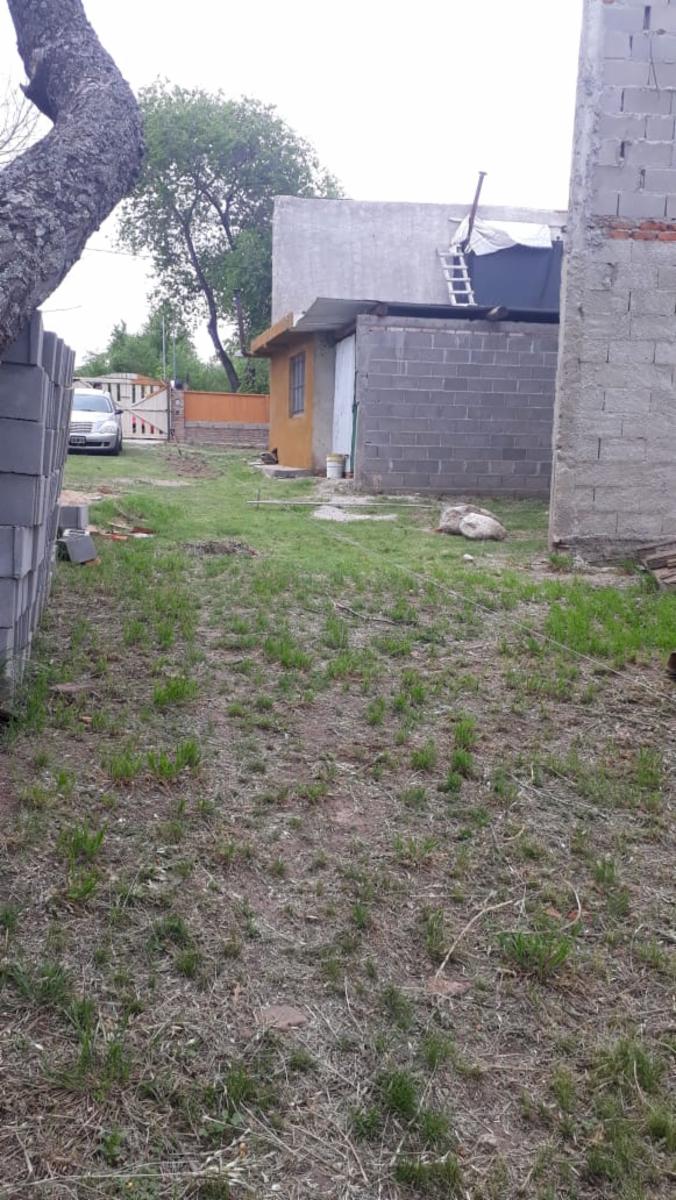 La pasionaria · Punilla — foto 8