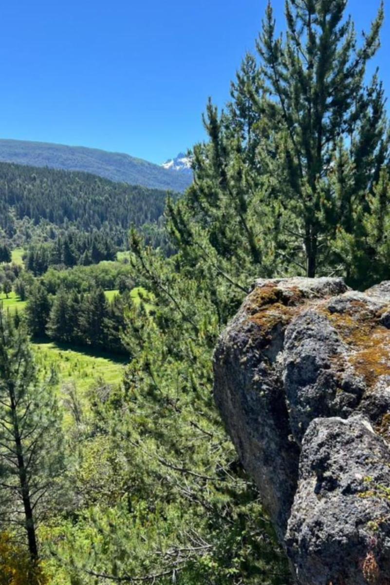 El Bolson · Bariloche — foto 3