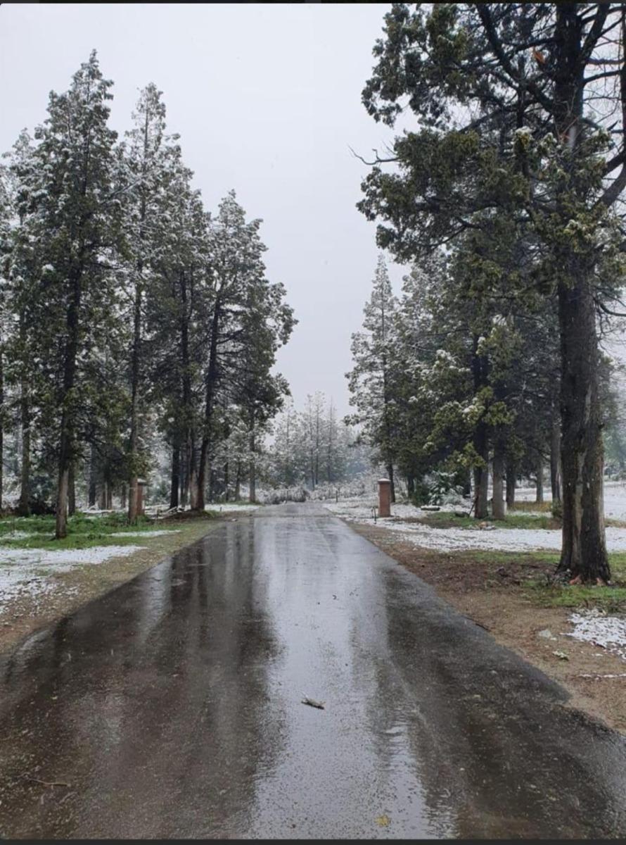 El Bolson · Bariloche — foto 6