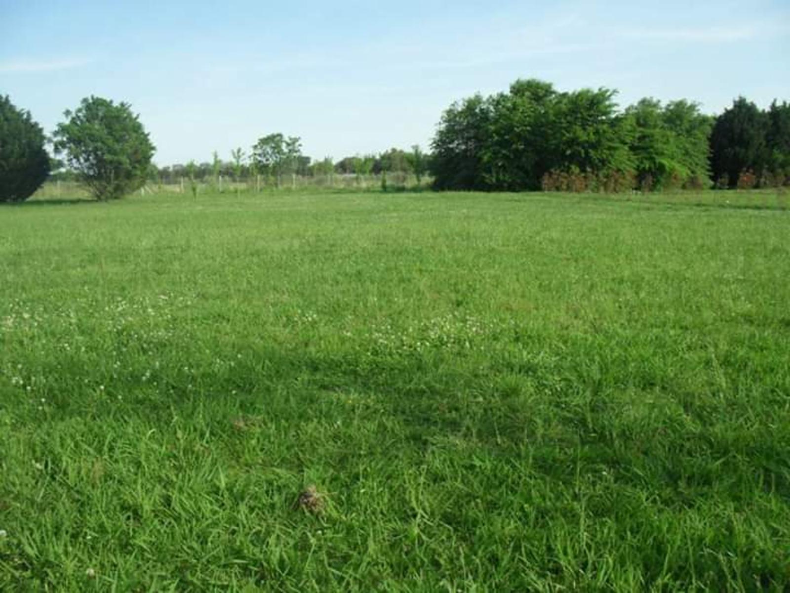 EXCELENTE LOTE - HARAS SAN PABLO - GRAL. RODRIGUEZ
