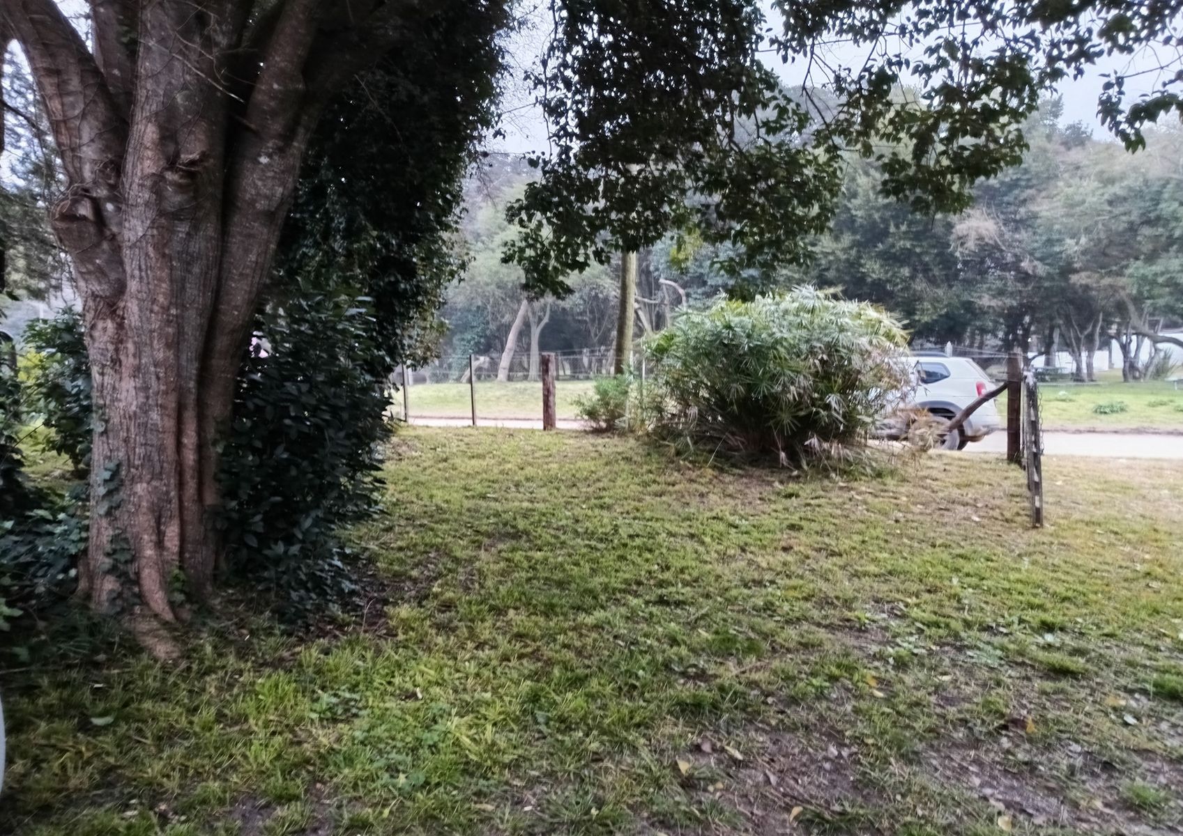Mamboretá · Punta Indio — foto 3